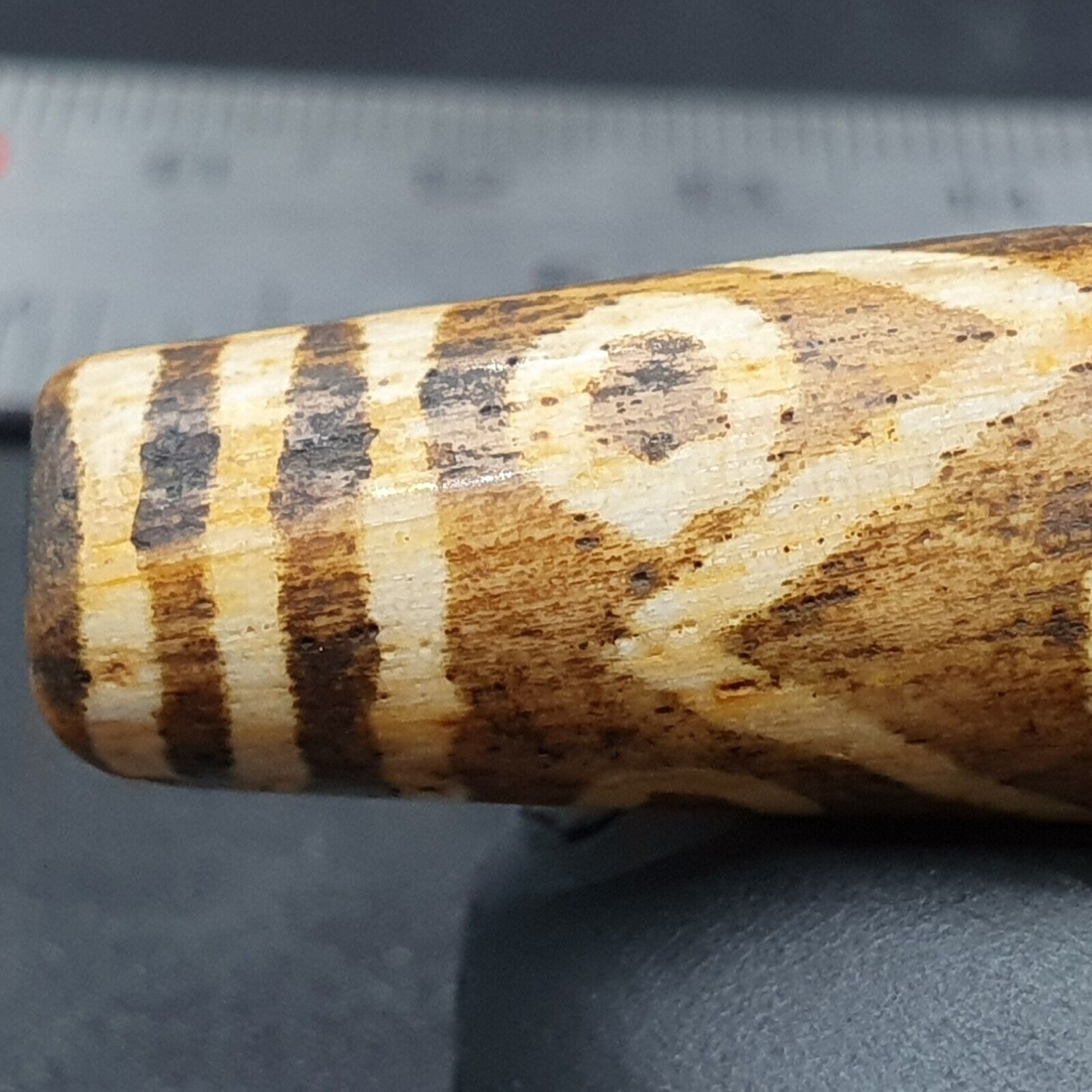 South Asian Burmese 53mm Old 9 eyes Pumtek petrified Wood Bead Unique pattern