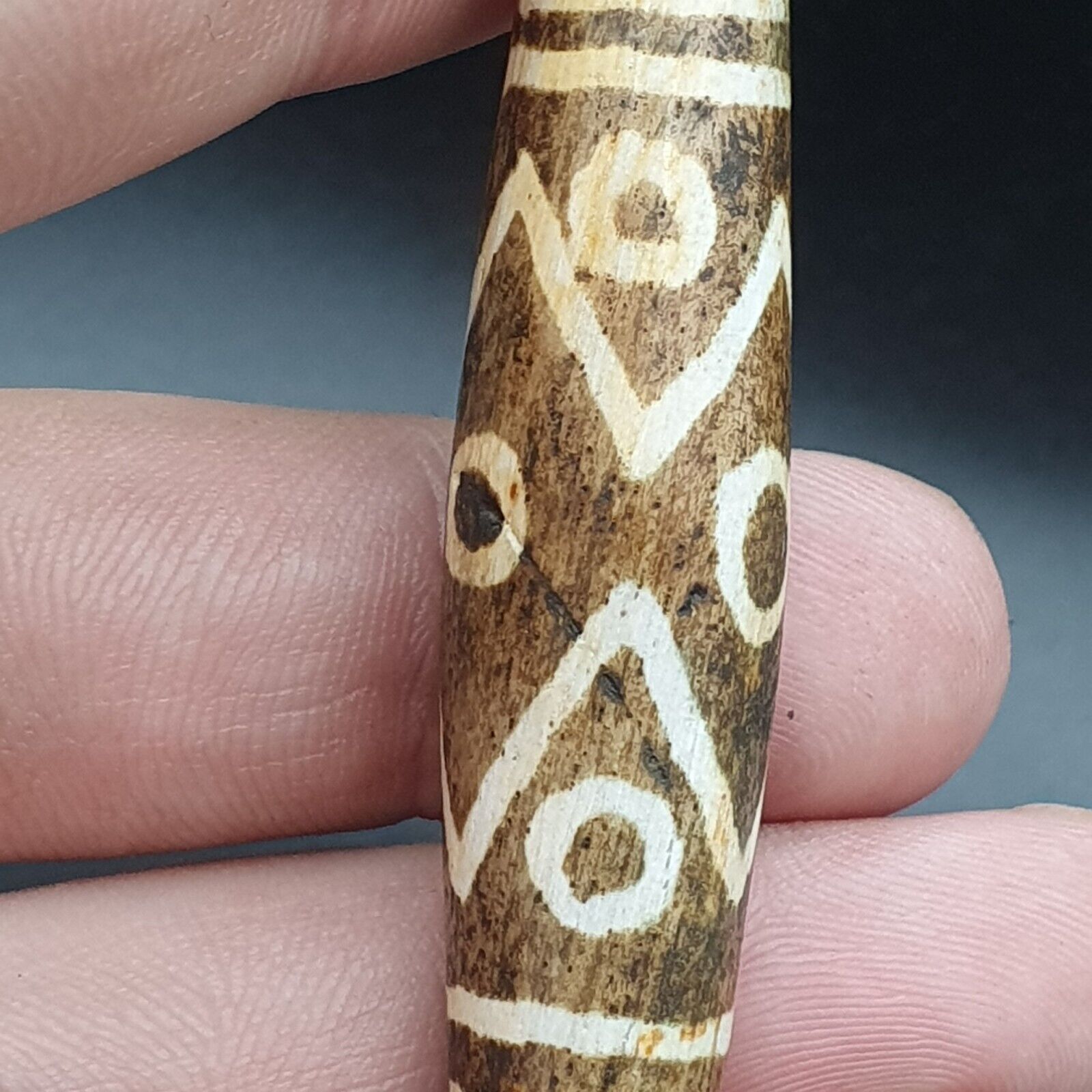 South Asian Burmese 53mm Old 9 eyes Pumtek petrified Wood Bead Unique pattern