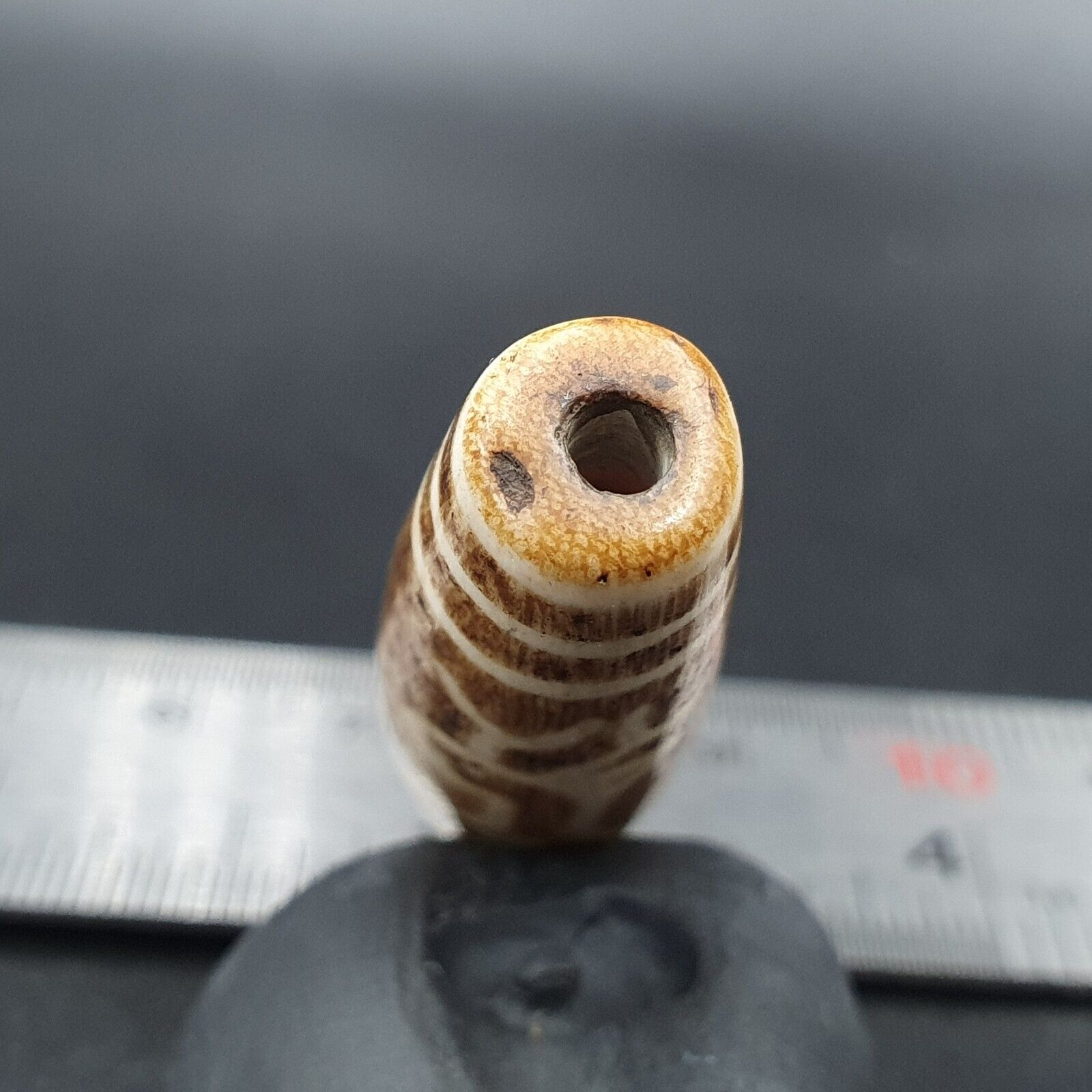 South Asian Burmese 58mm Old Pumtek petrified Wood Bead
