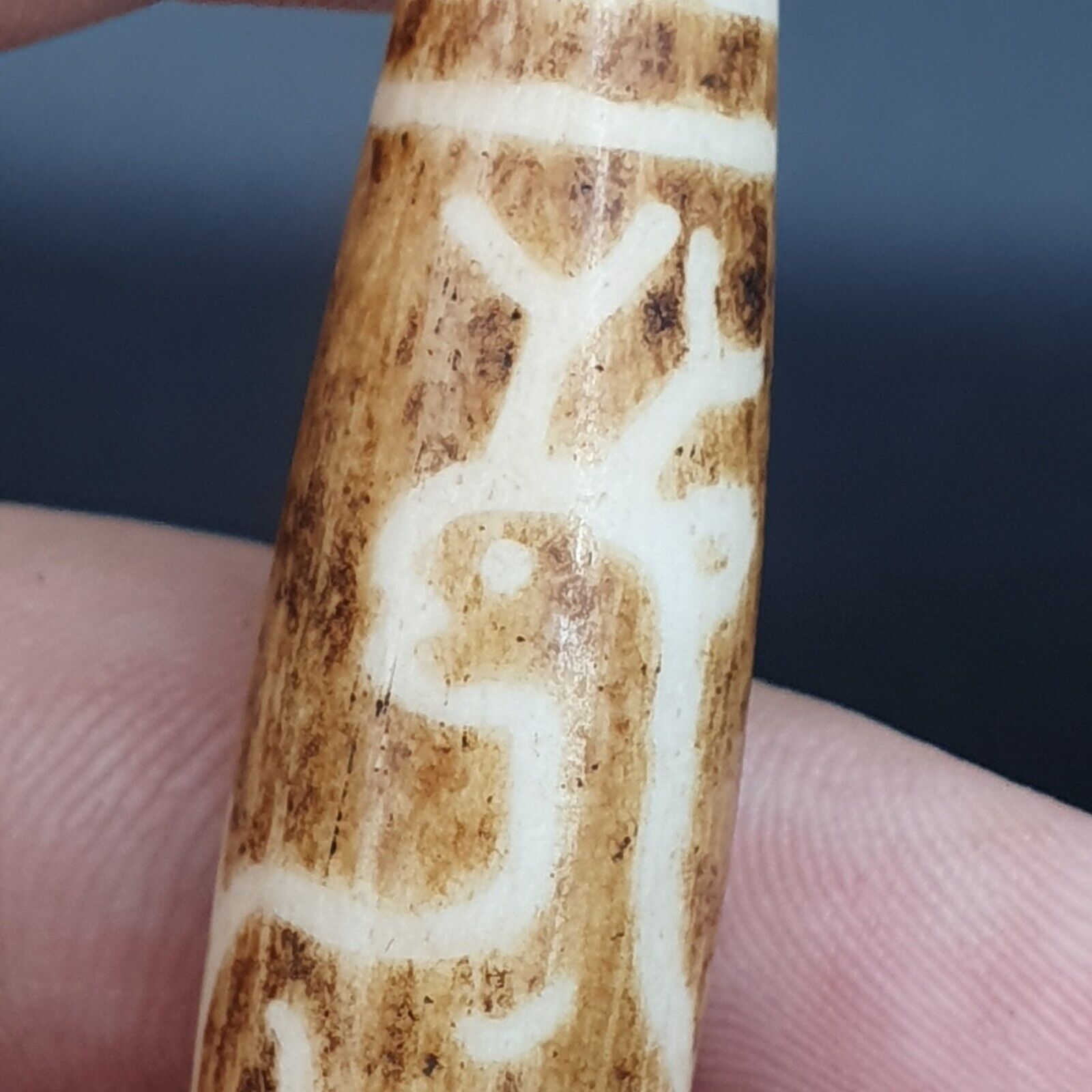 South Asian Burmese 58mm Old Pumtek petrified Wood Bead