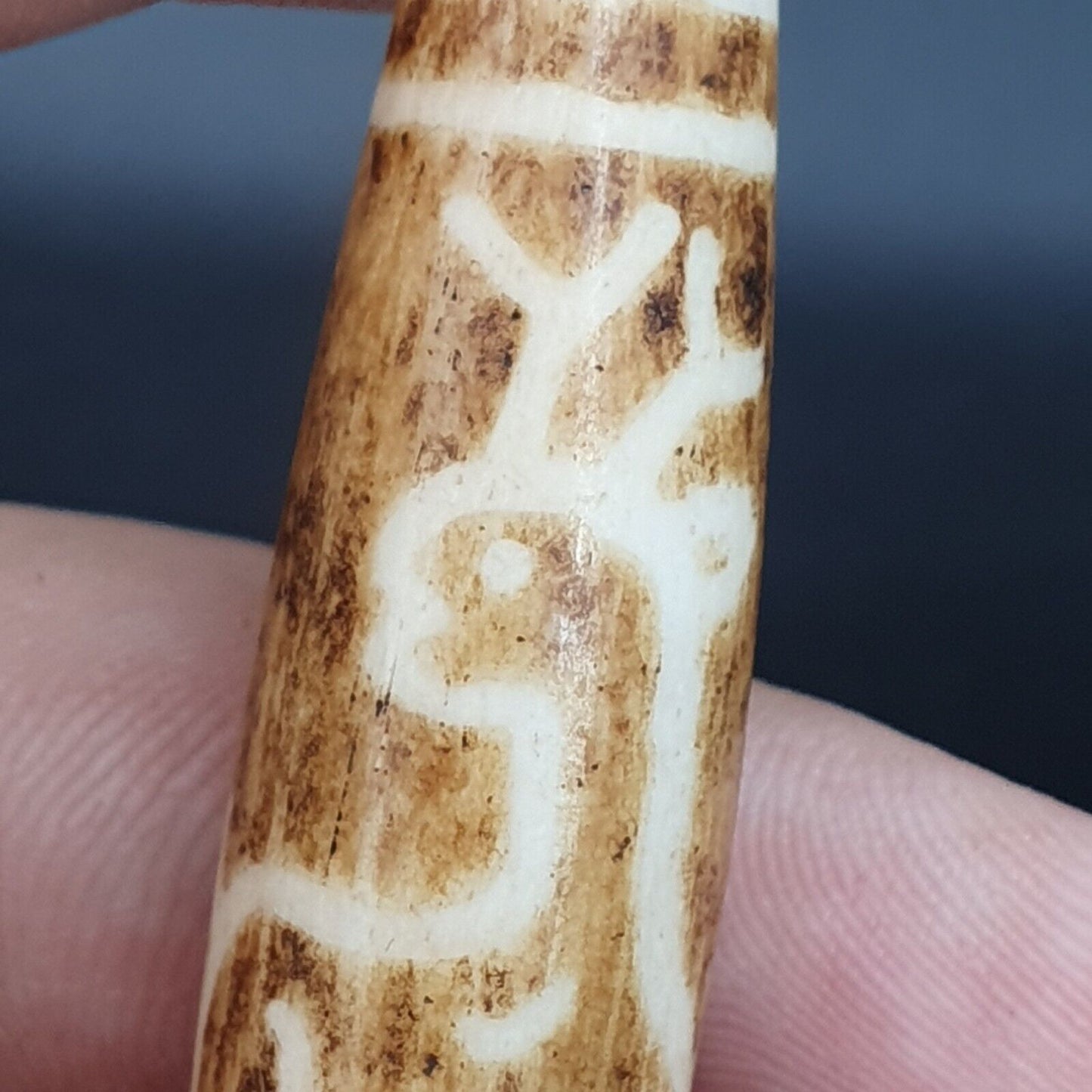 南亞緬甸 58 毫米老 Pumtek 石化木珠
