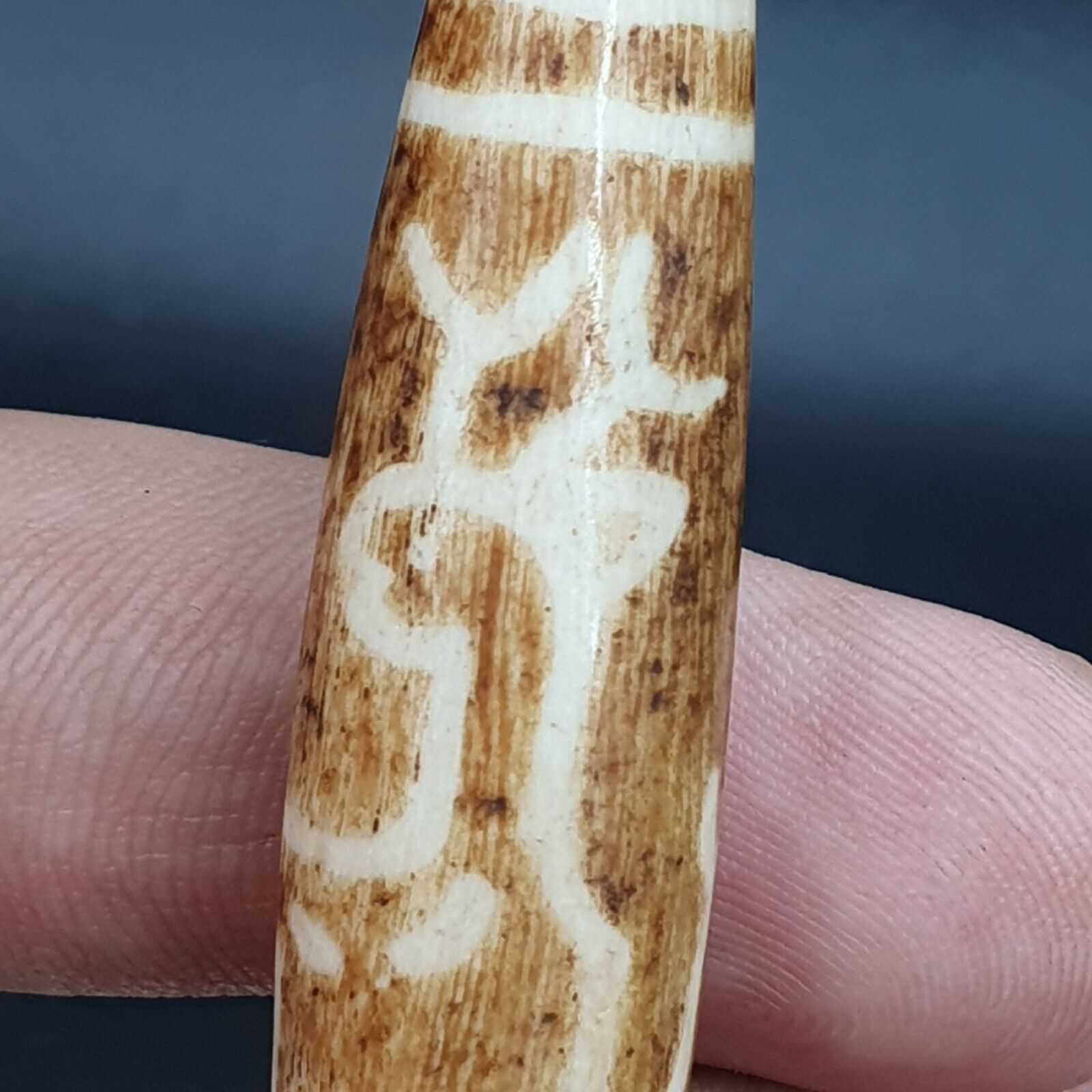 South Asian Burmese 58mm Old Pumtek petrified Wood Bead