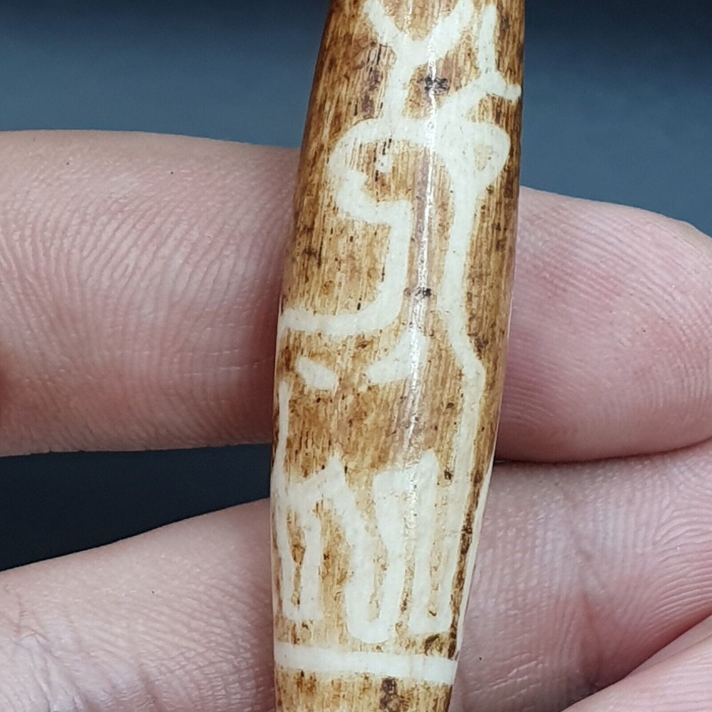 南亞緬甸 58 毫米老 Pumtek 石化木珠