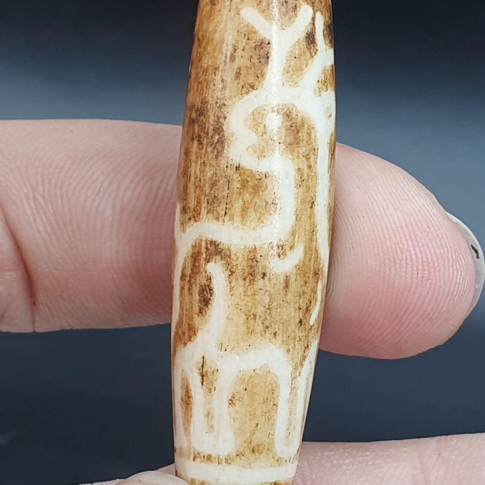 South Asian Burmese 58mm Old Pumtek petrified Wood Bead