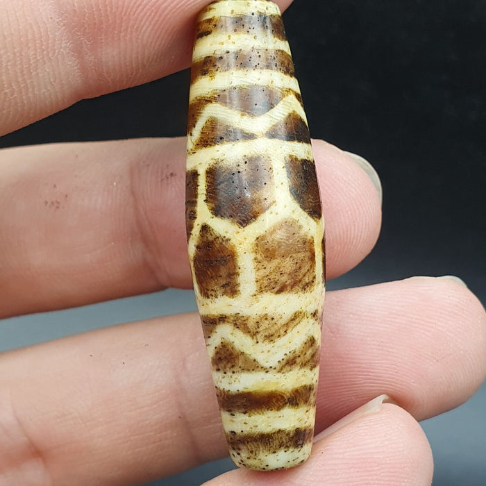 Antique South Asian Burmese Old Pyu Pumtek Petrified Wood Stone Bead