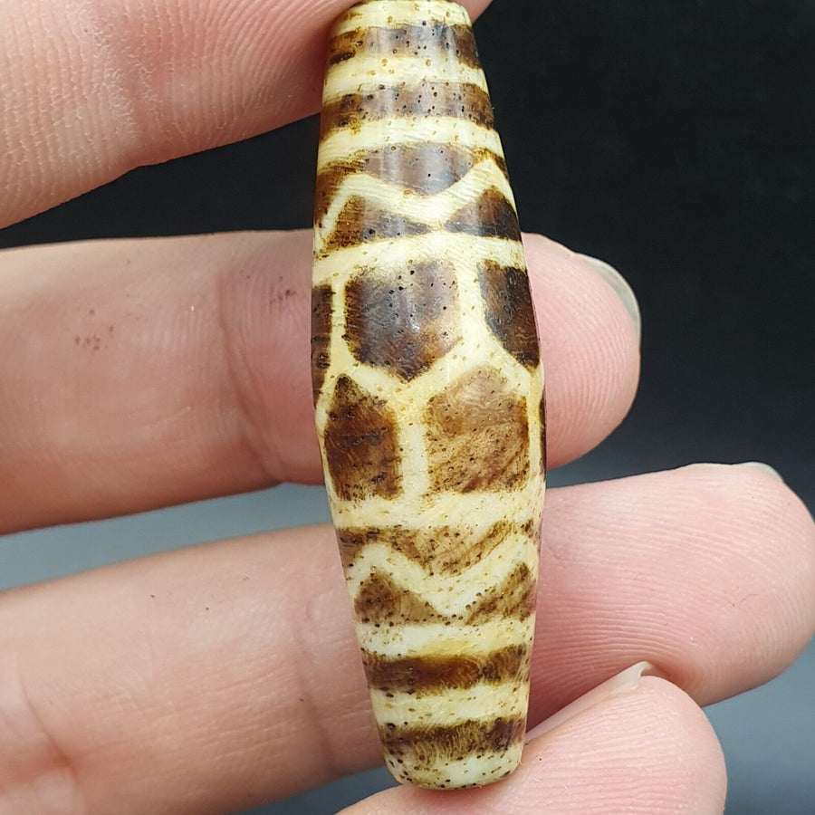 古董南亞緬甸老 pyu Pumtek 石化木石珠