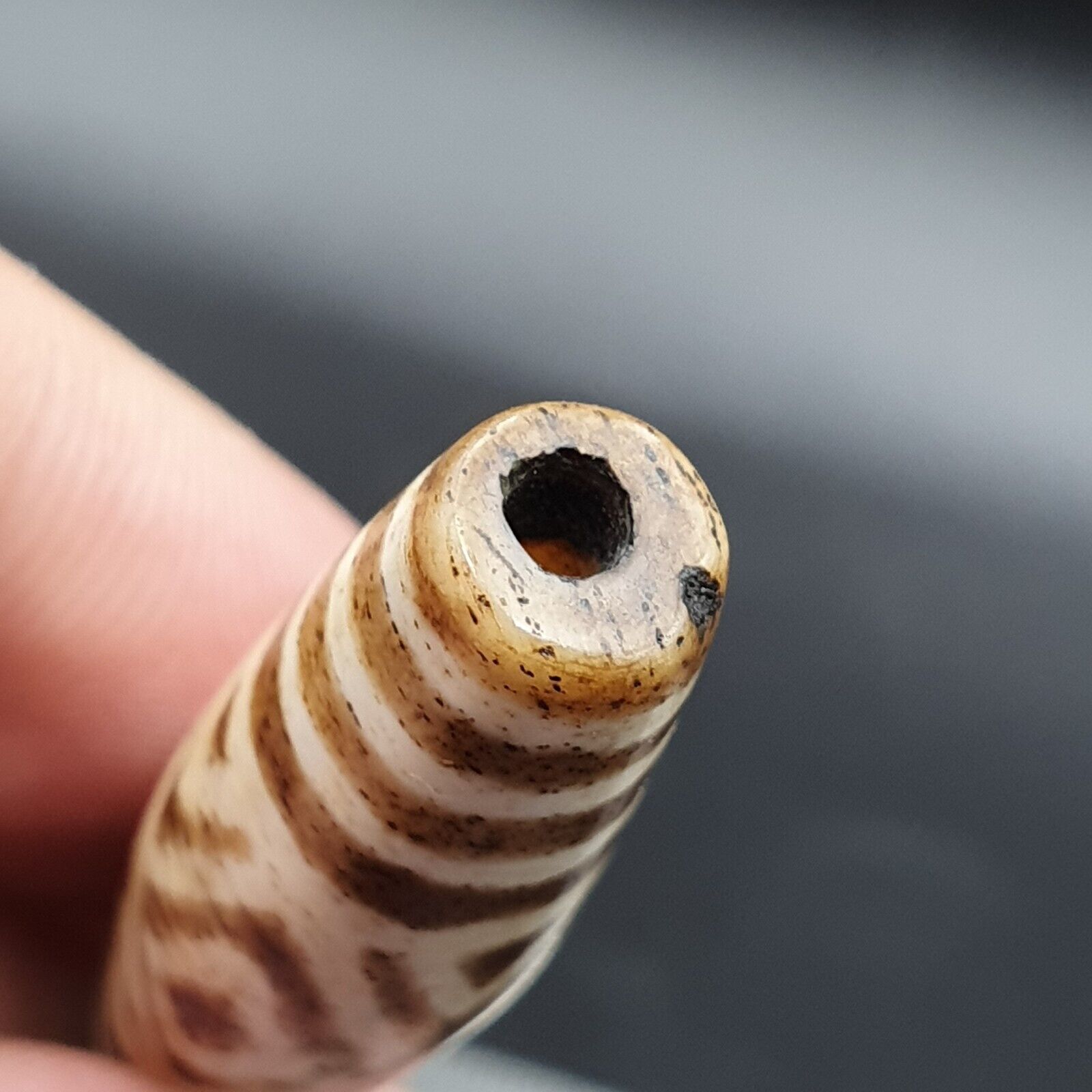 Antique South Asian Burmese Old pyu Pumtek petrified Wood Stone Bead 45mm