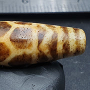 Antike südasiatische burmesische alte Pyu Pumtek versteinerte Holzsteinperle 
