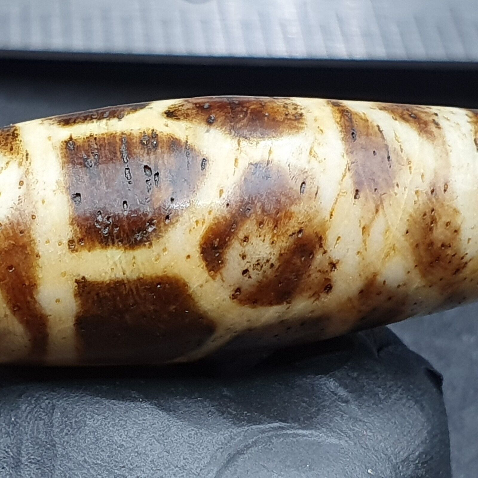 Antique South Asian Burmese Old pyu Pumtek petrified Wood Stone Bead