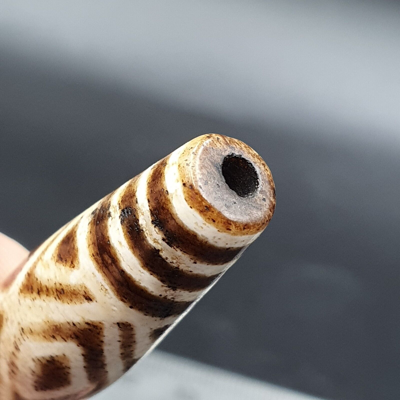 Antique South Asian Burmese Old pyu Pumtek petrified Wood Stone Bead 45mm