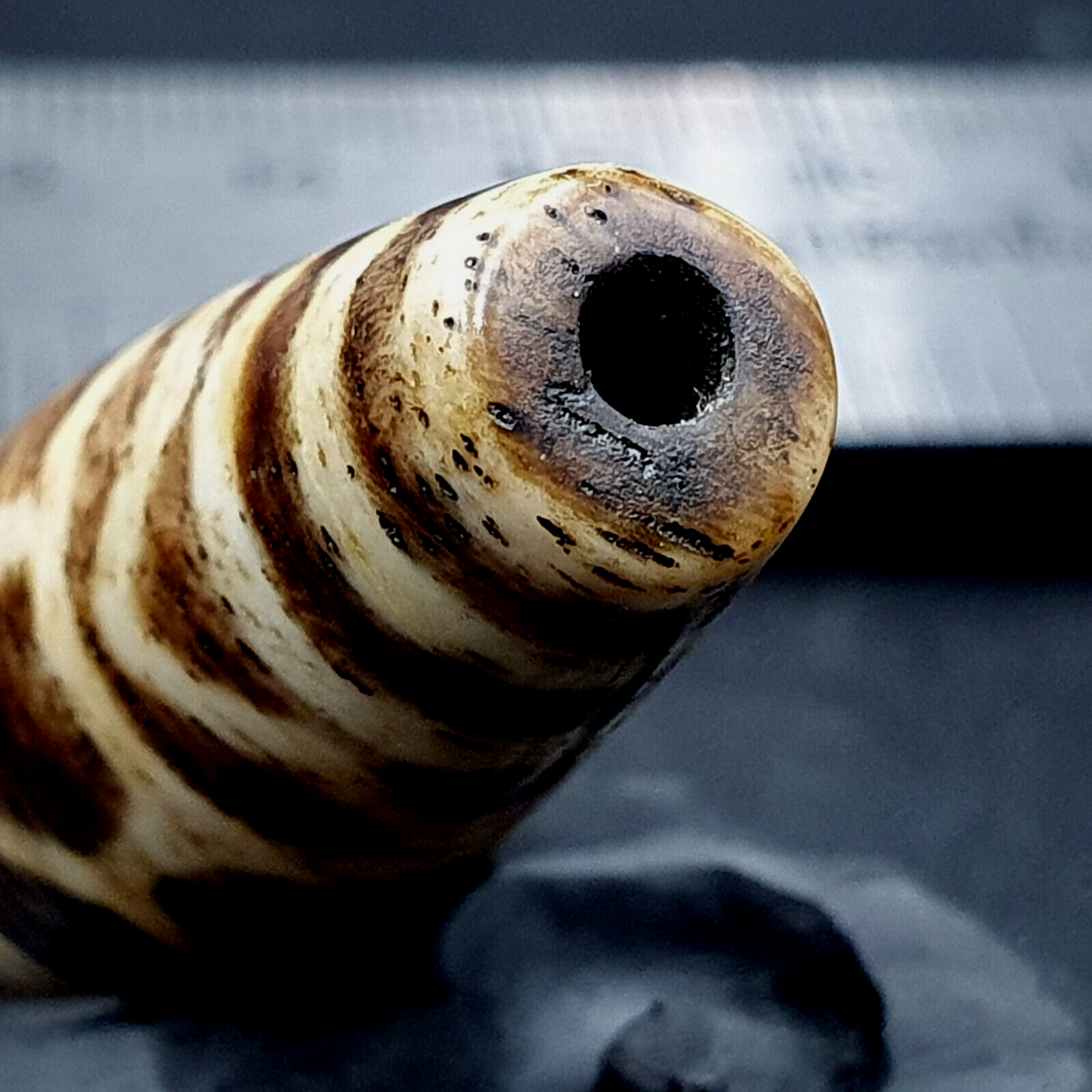 Antique South Asian Burmese Old pyu Pumtek petrified Wood Stone Bead