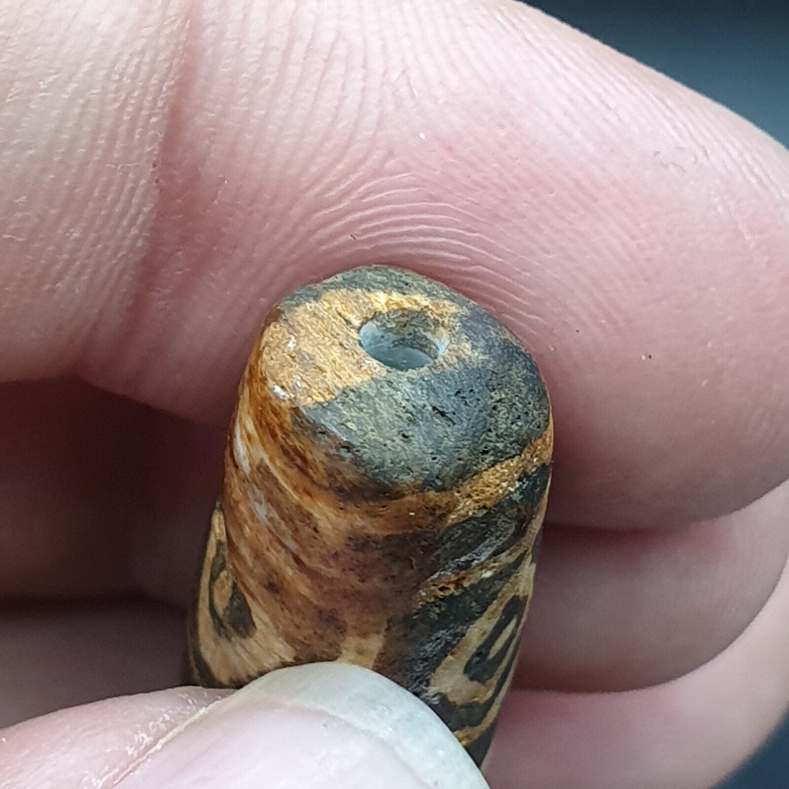 Antique South Asian Burmese Old pyu Tribe Pumtek petrified Wood Stone Bead