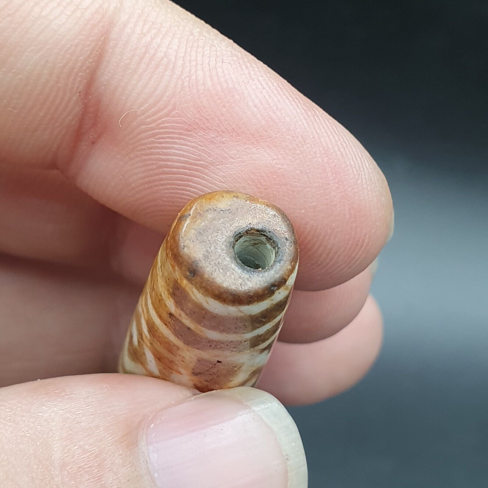 Vintage South Asian Burmese Old pyu tribal Pumtek petrified Wood Stone Bead