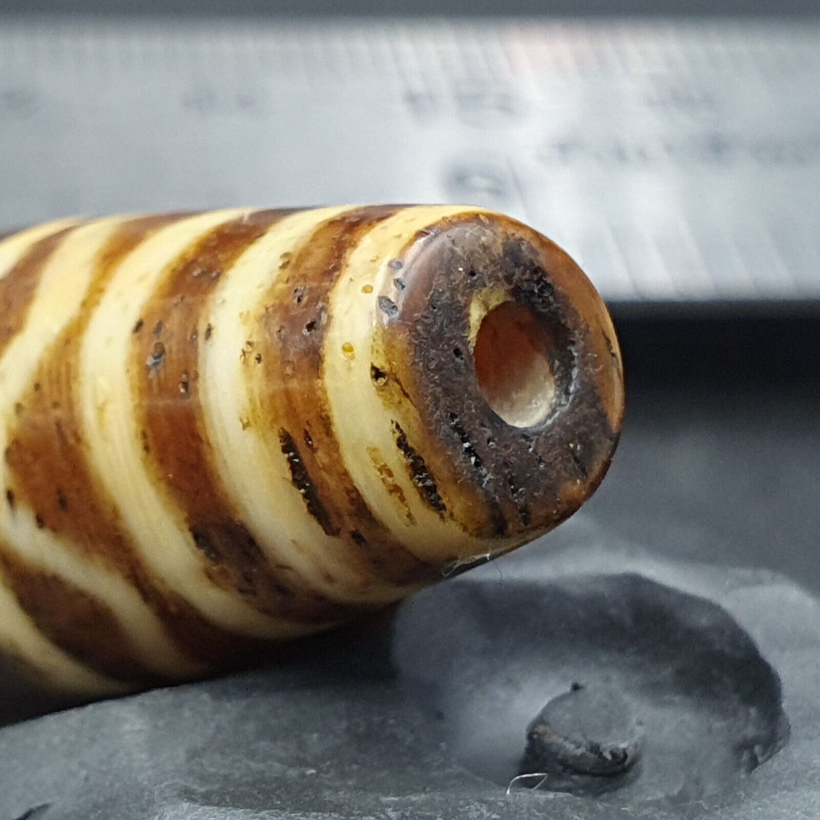 Antique South Asian Burmese Old pyu Pumtek petrified Wood Stone Bead