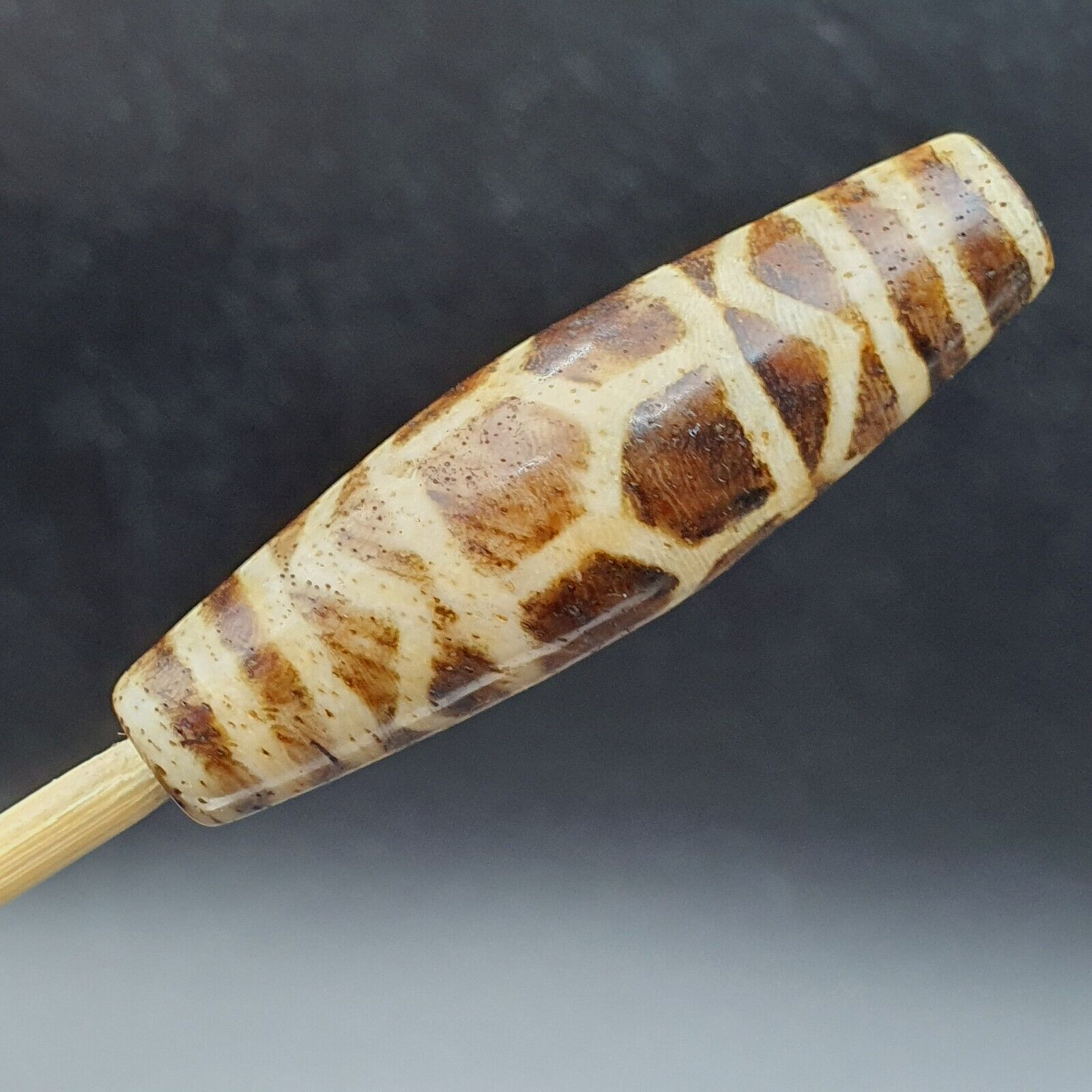 Antique South Asian Burmese Old pyu Pumtek petrified Wood Stone Bead