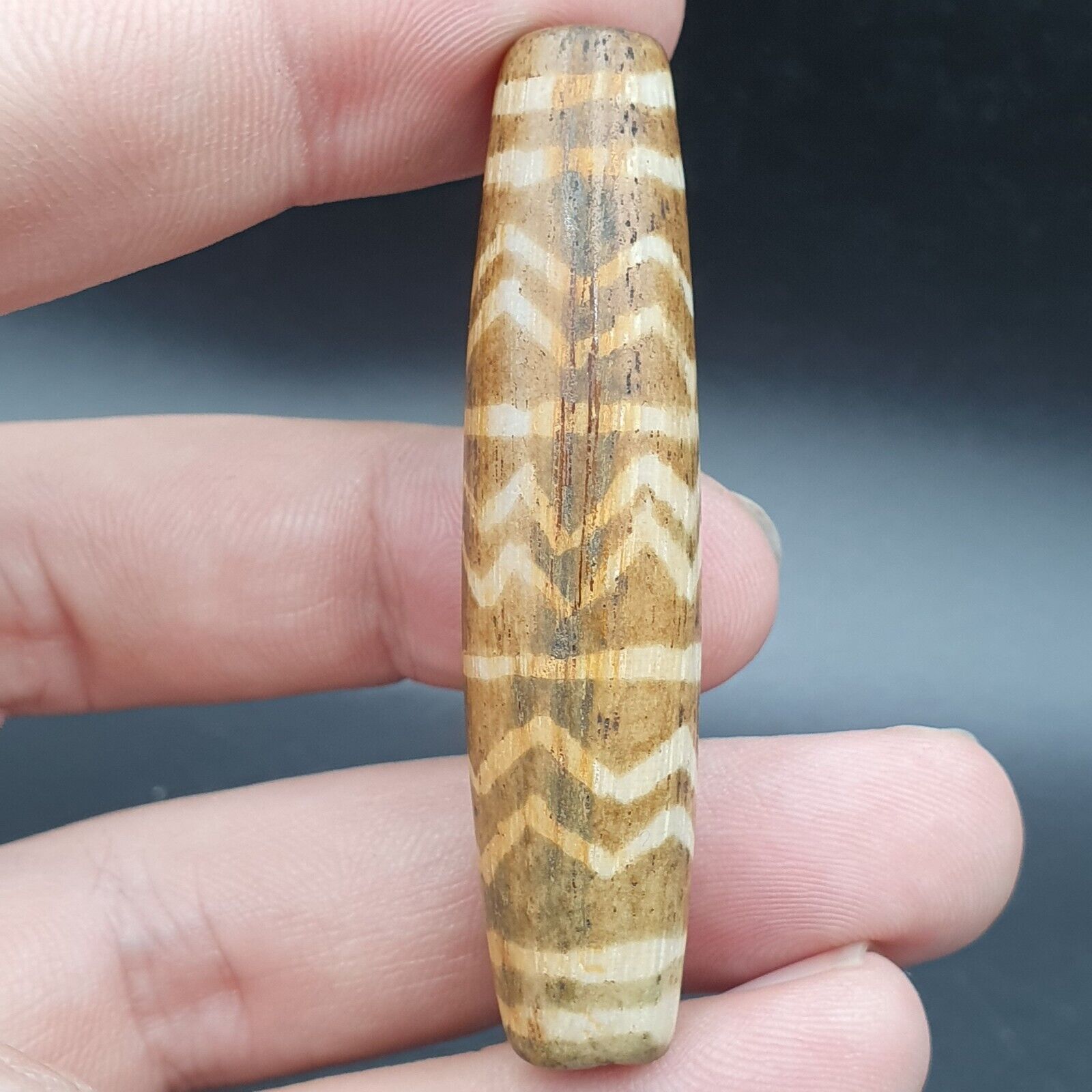 Vintage South Asian Burmese Old pyu tribal Pumtek petrified Wood Stone Bead