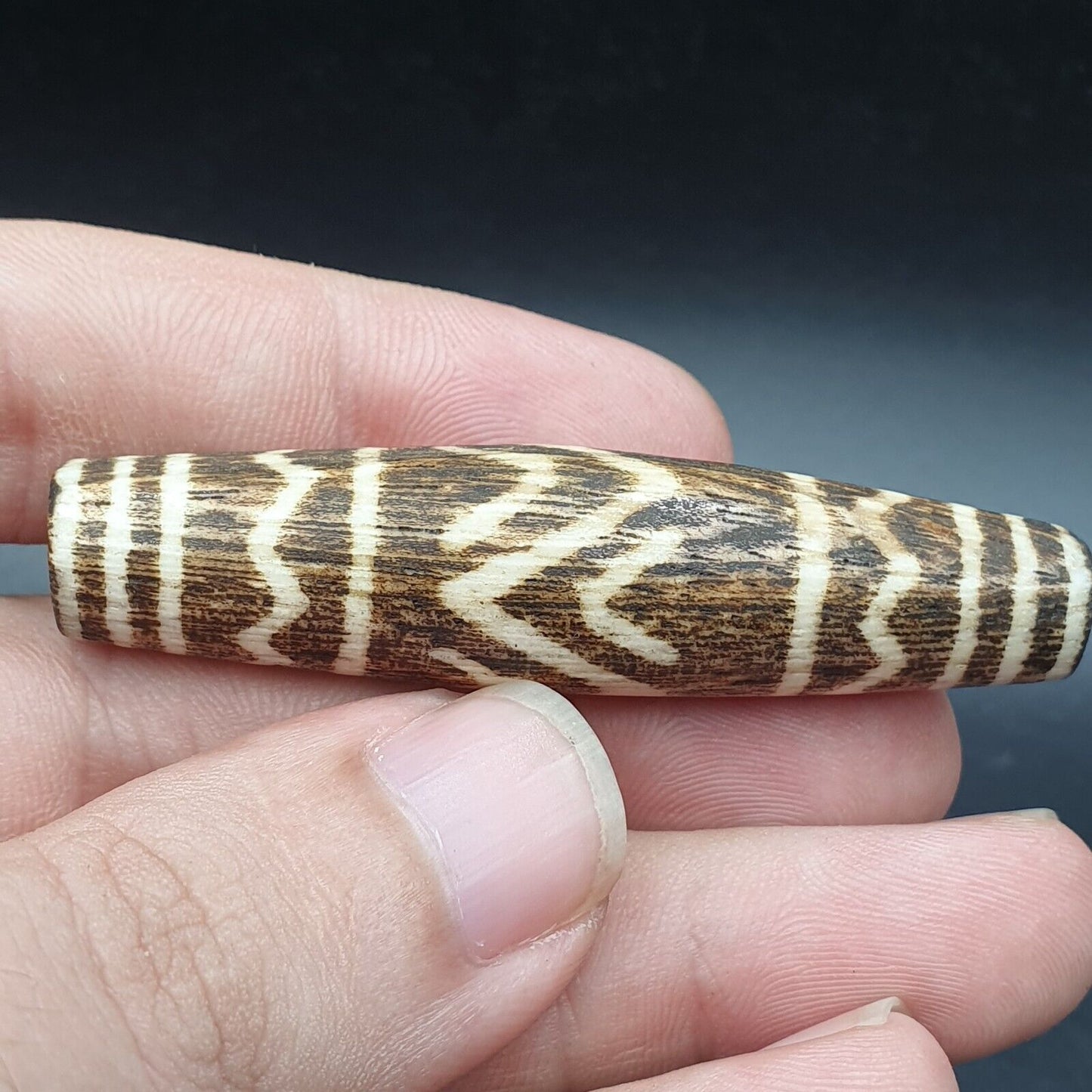 古董南亞緬甸老 pyu 部落 Pumtek 石化木石珠