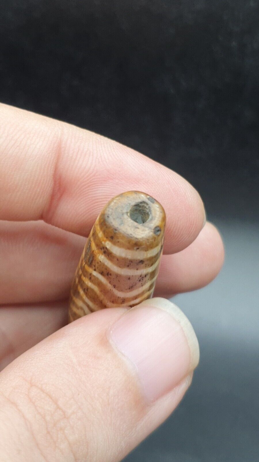 Vintage South Asian Burmese Old pyu tribal Pumtek petrified Wood Stone Bead