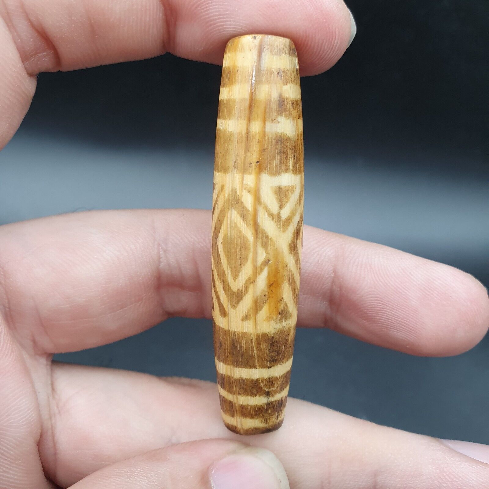 South Asian Burmese Old pyu Tribal Pumtek petrified Wood Stone Bead