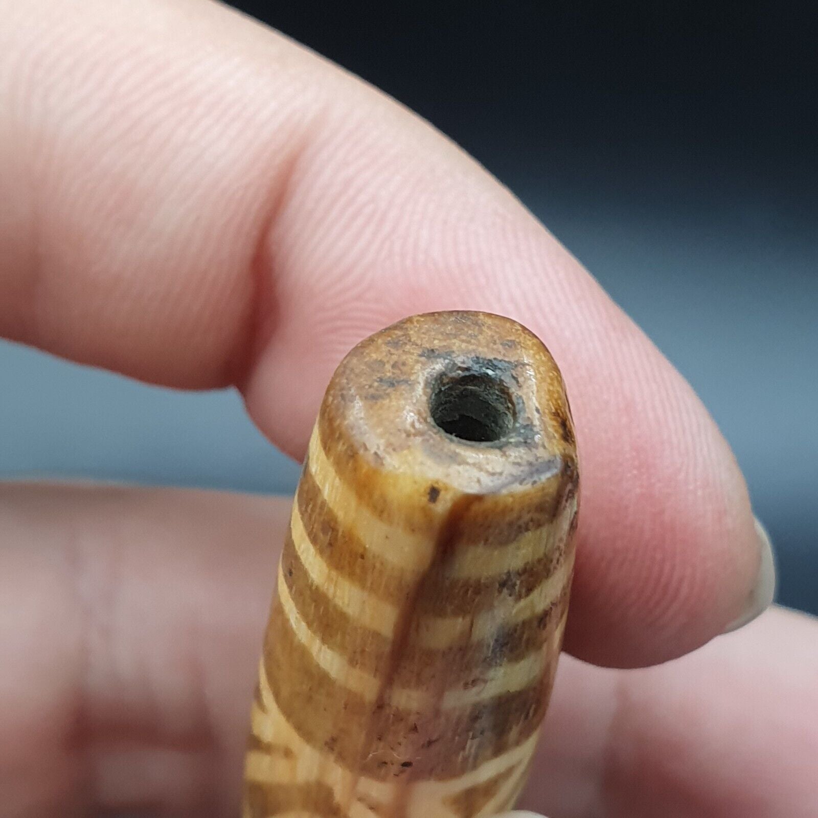 South Asian Burmese Old pyu Tribal Pumtek petrified Wood Stone Bead
