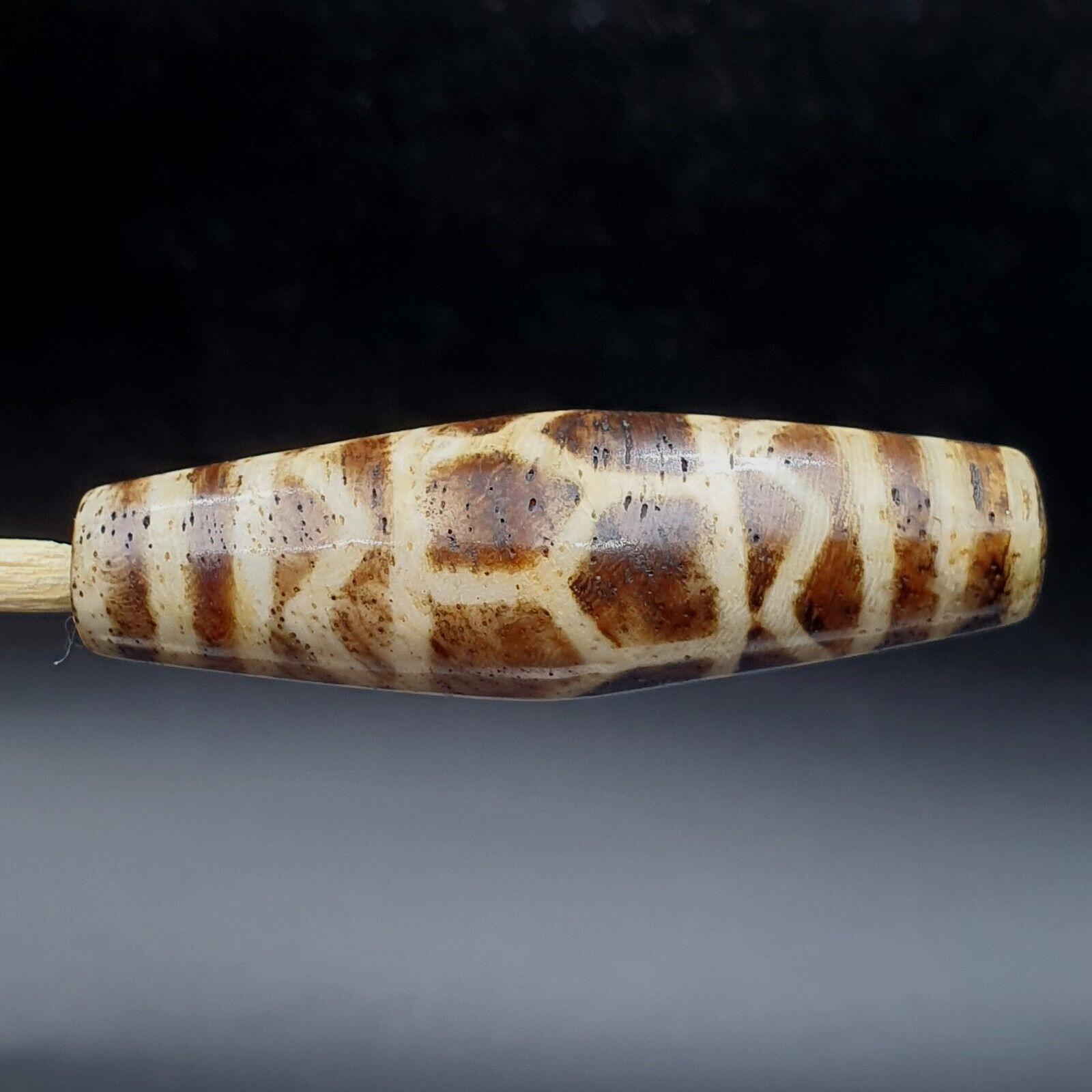 Antique South Asian Burmese Old pyu Pumtek petrified Wood Stone Bead