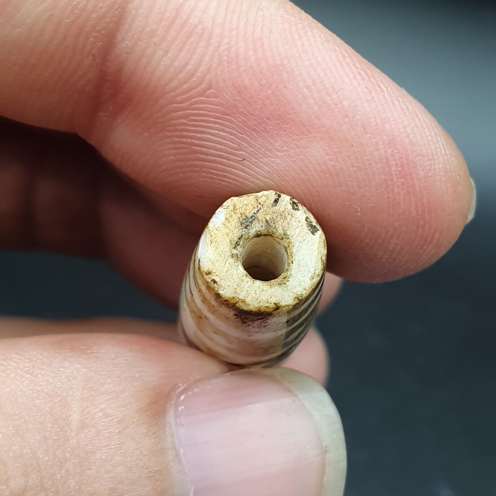 Antique South Asian Burmese Old pyu Tribal Pumtek petrified Wood Stone Bead