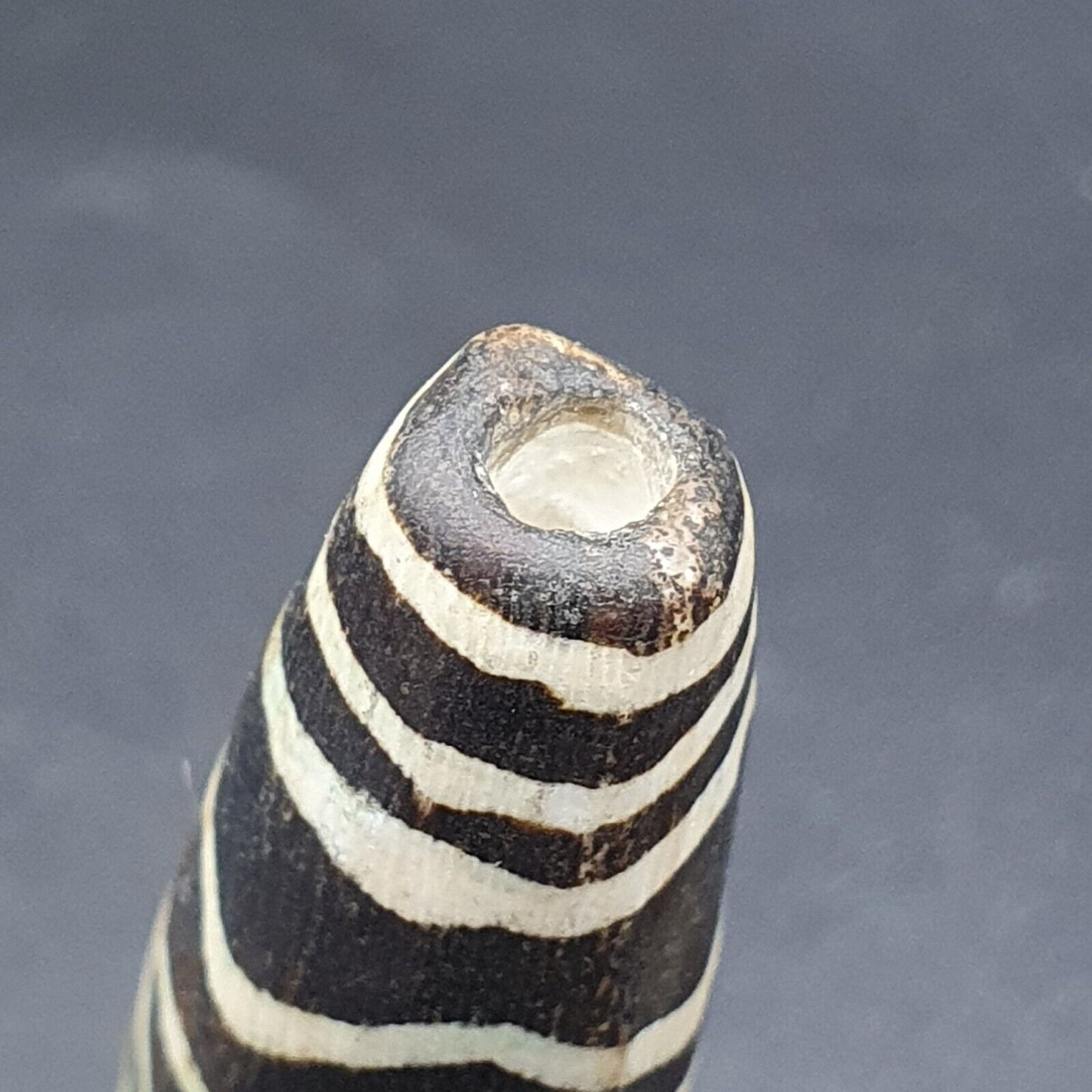復古南亞緬甸老 pyu Pumtek 石化木石珠