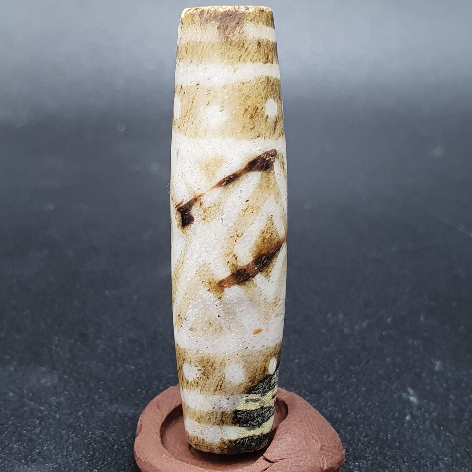 Antique South Asian Burmese Old pyu Tribal Pumtek petrified Wood Stone Bead