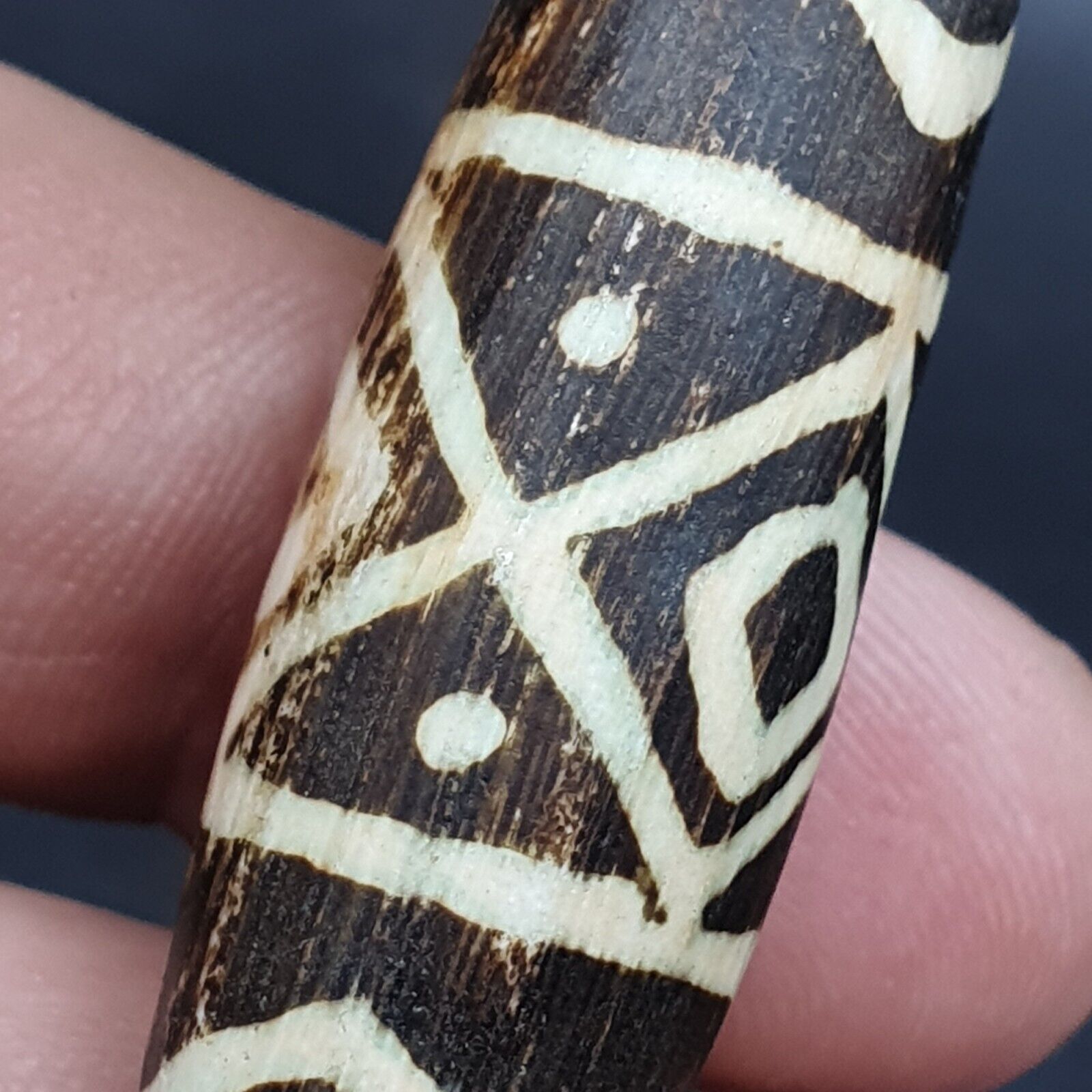 Vintage South Asian Burmese Old pyu Pumtek petrified Wood Stone Bead