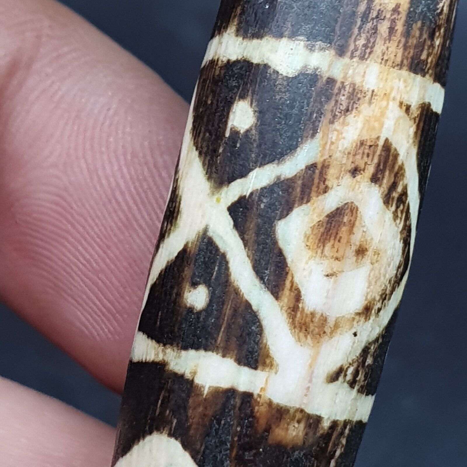 Vintage South Asian Burmese Old pyu Pumtek petrified Wood Stone Bead