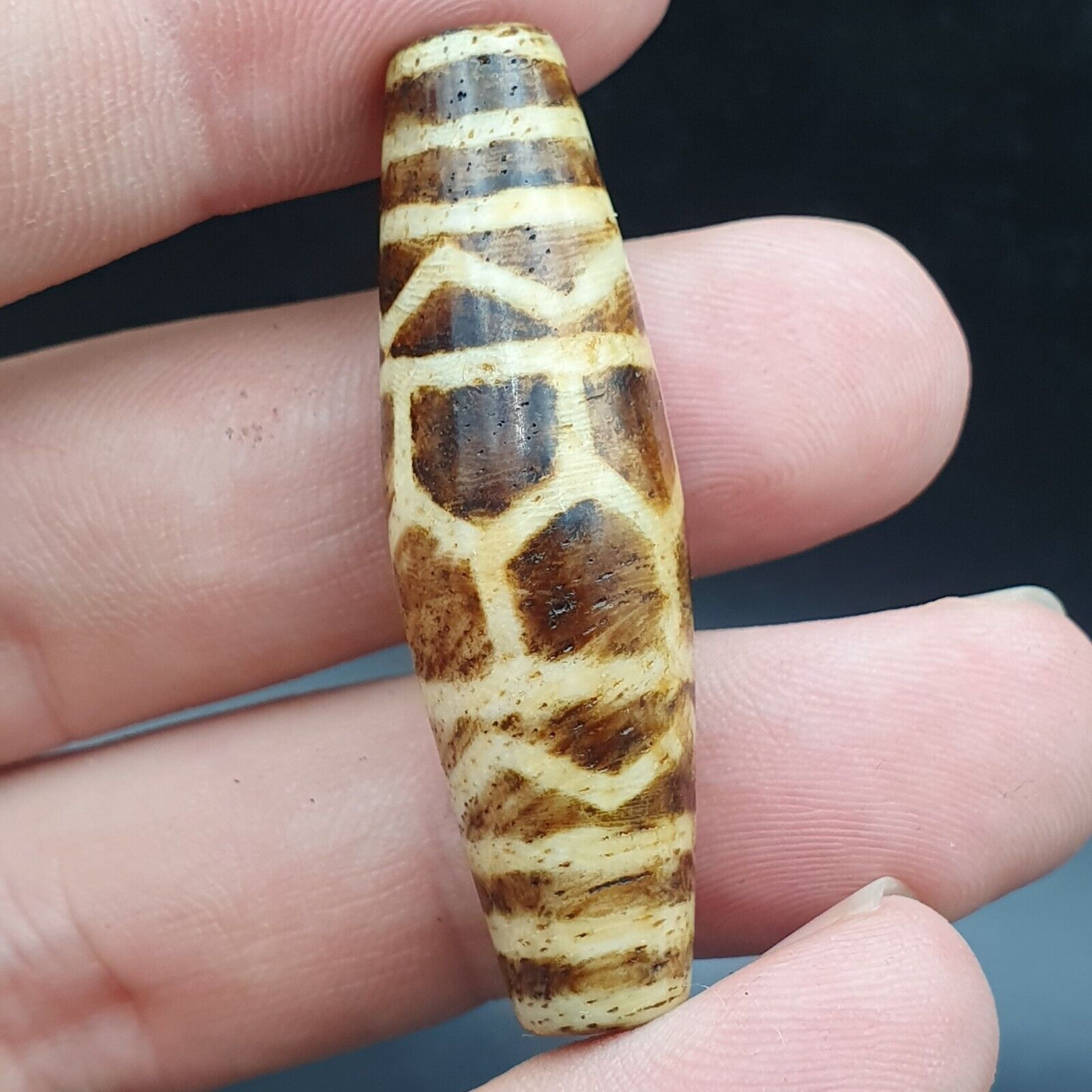Antique South Asian Burmese Old pyu Pumtek petrified Wood Stone Bead