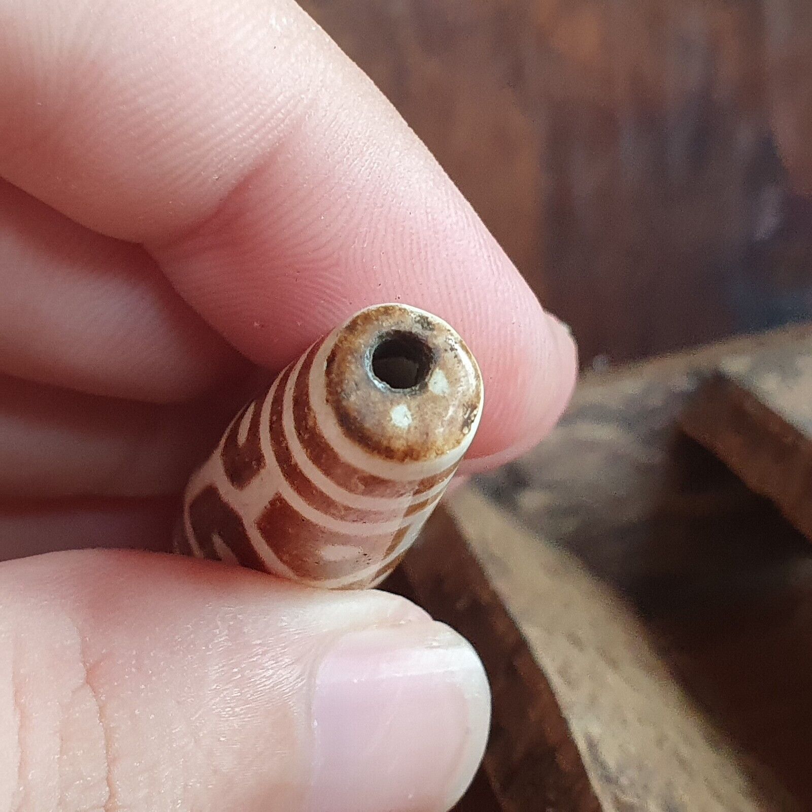 Vintage South Asian Burmese Old pyu Pumtek petrified Wood Stone Bead 67mm