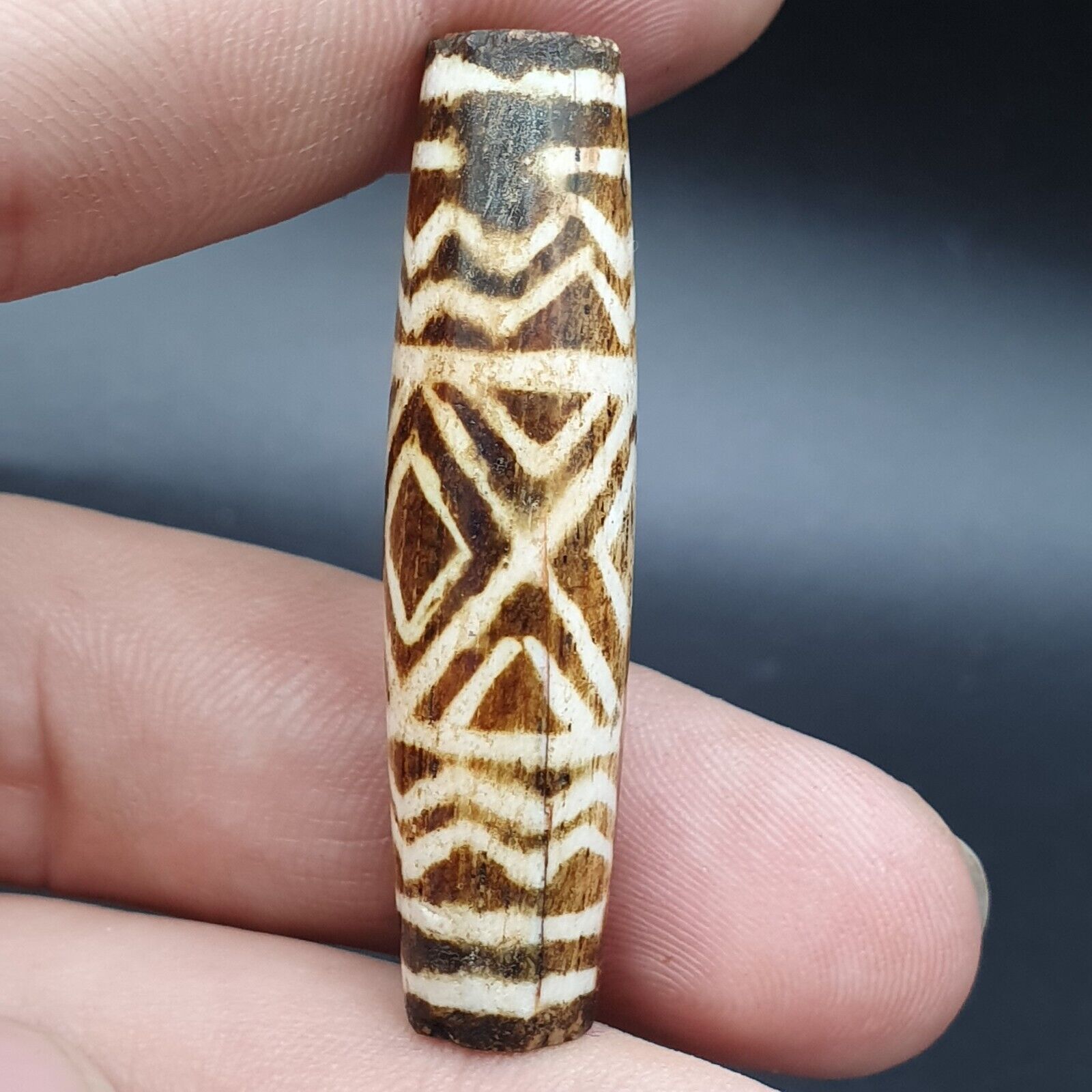 Antique South Asian Burmese Old pyu Bead Pumtek petrified Wood Stone Bead