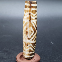 Antique South Asian Burmese Old pyu Bead Pumtek petrified Wood Stone Bead