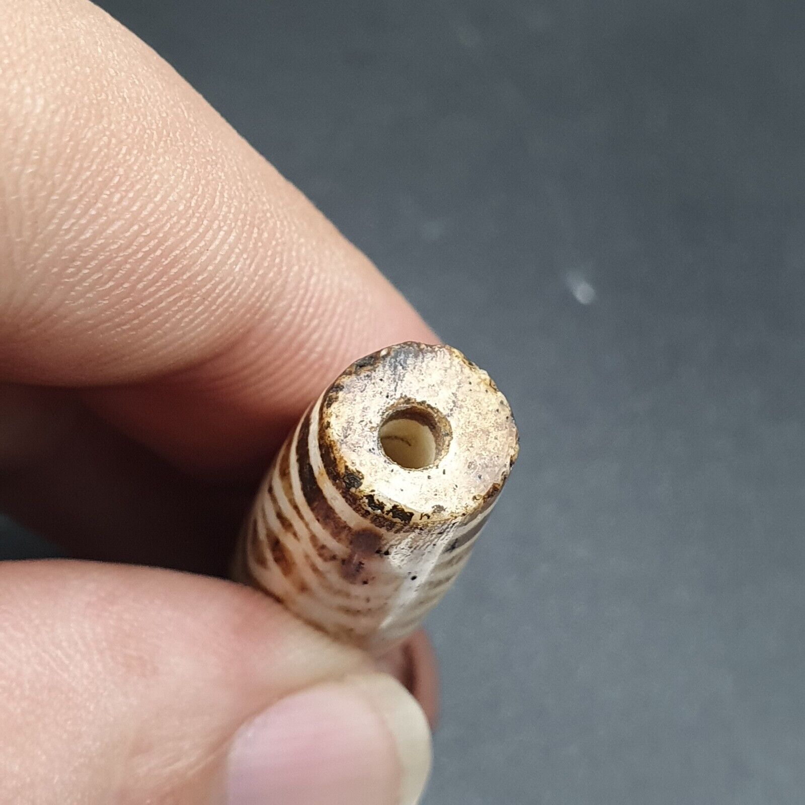Antique South Asian Burmese Old pyu Bead Pumtek petrified Wood Stone Bead