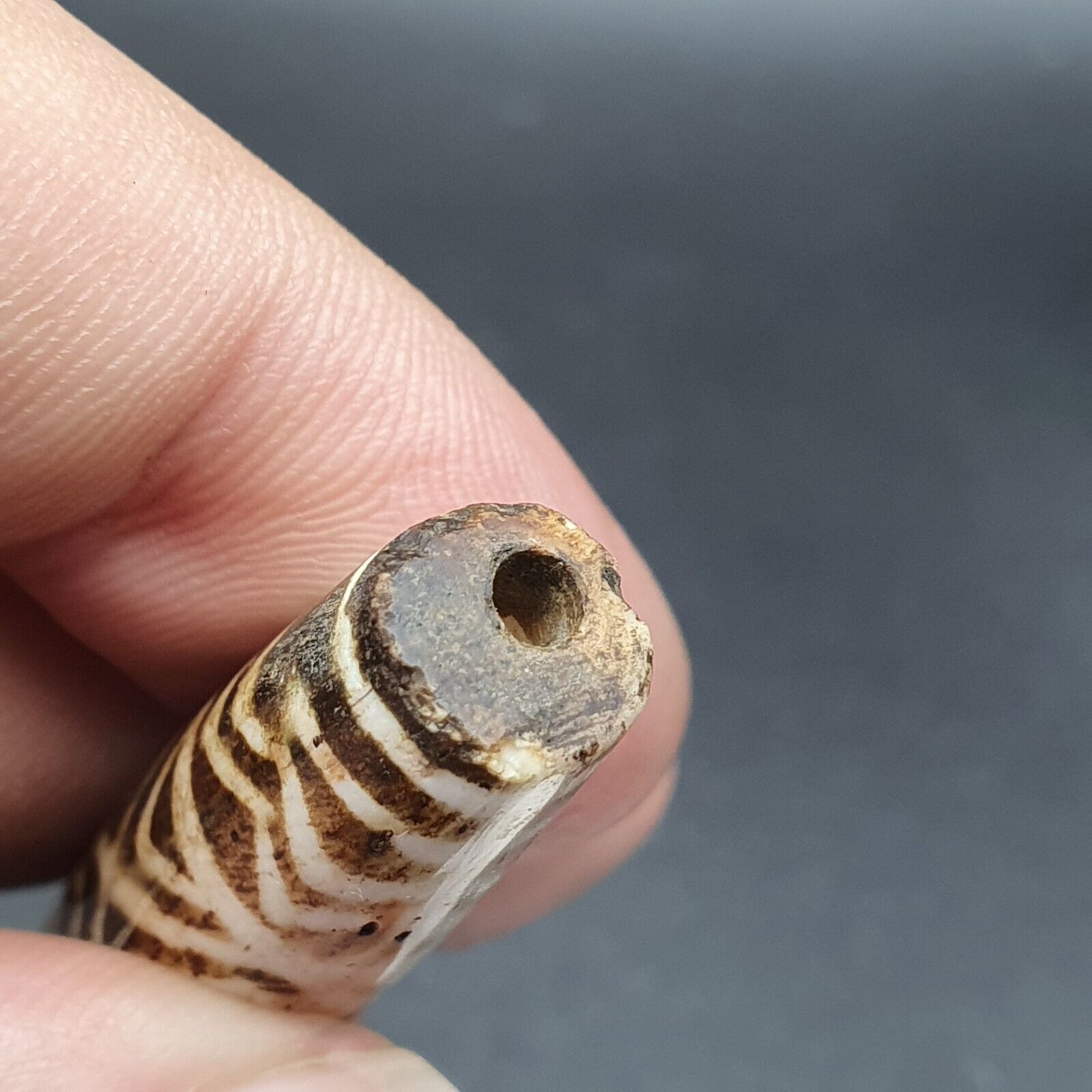 Antique South Asian Burmese Old pyu Bead Pumtek petrified Wood Stone Bead