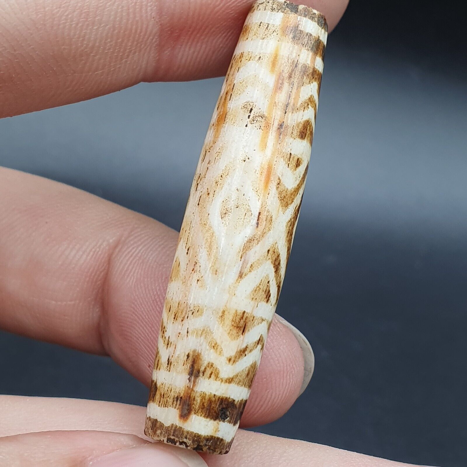 Antique South Asian Burmese Old pyu Bead Pumtek petrified Wood Stone Bead