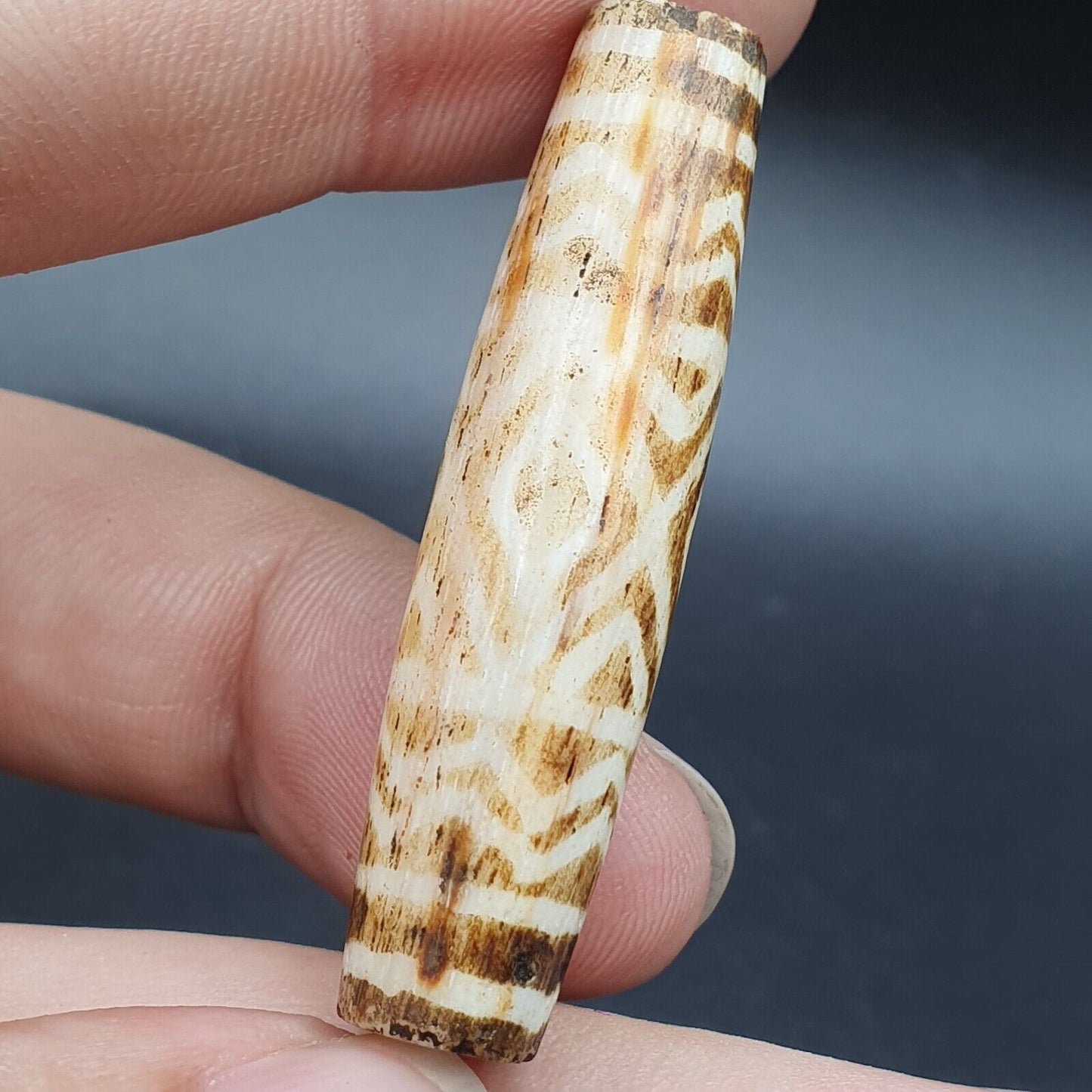 Antique South Asian Burmese Old pyu Bead Pumtek petrified Wood Stone Bead