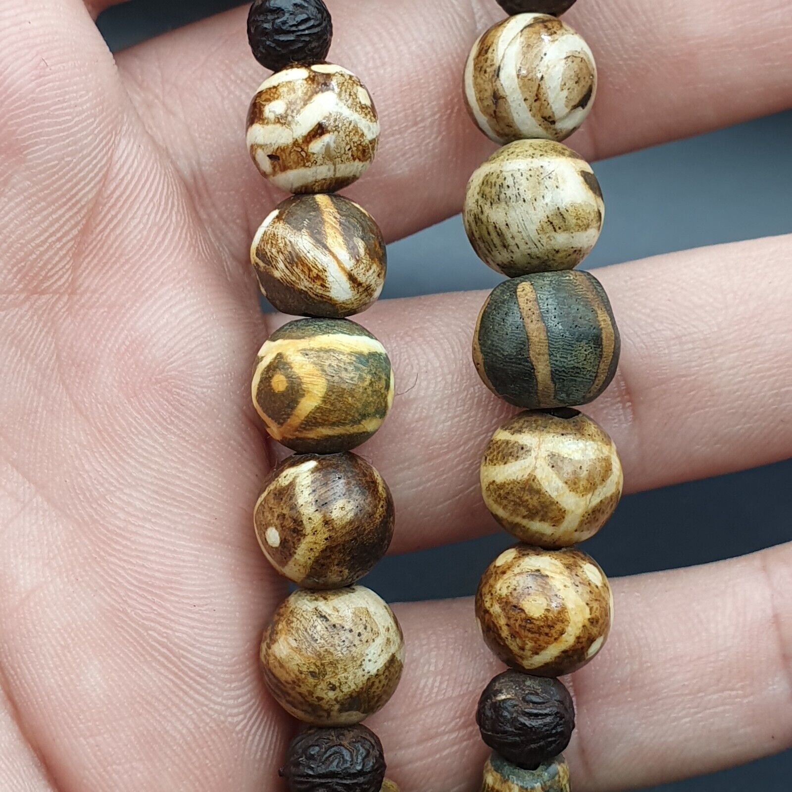 Vintage Asian Burmese Old Pumtek pyu petrified Wood Stone beads Necklace
