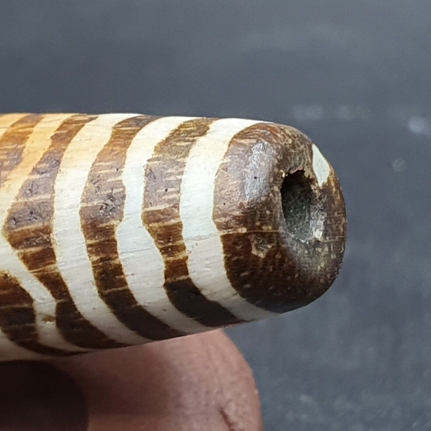 Vintage asiatische burmesische alte Pumtek Pyu versteinerte Holzsteinperle 