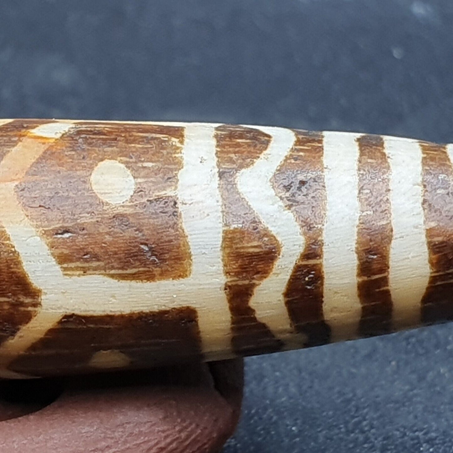 Vintage asiatische burmesische alte Pumtek Pyu versteinerte Holzsteinperle 