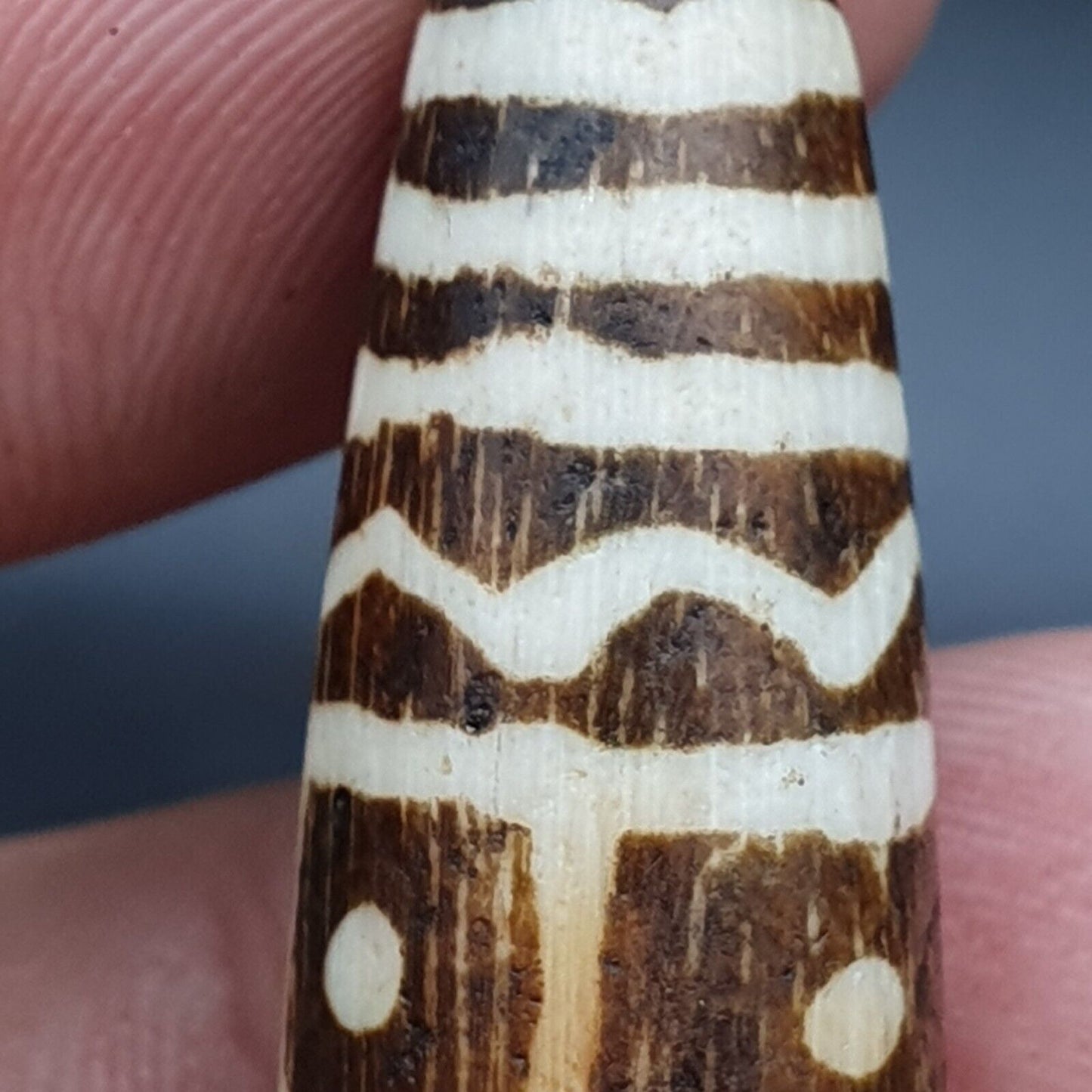 Vintage asiatische burmesische alte Pumtek Pyu versteinerte Holzsteinperle 