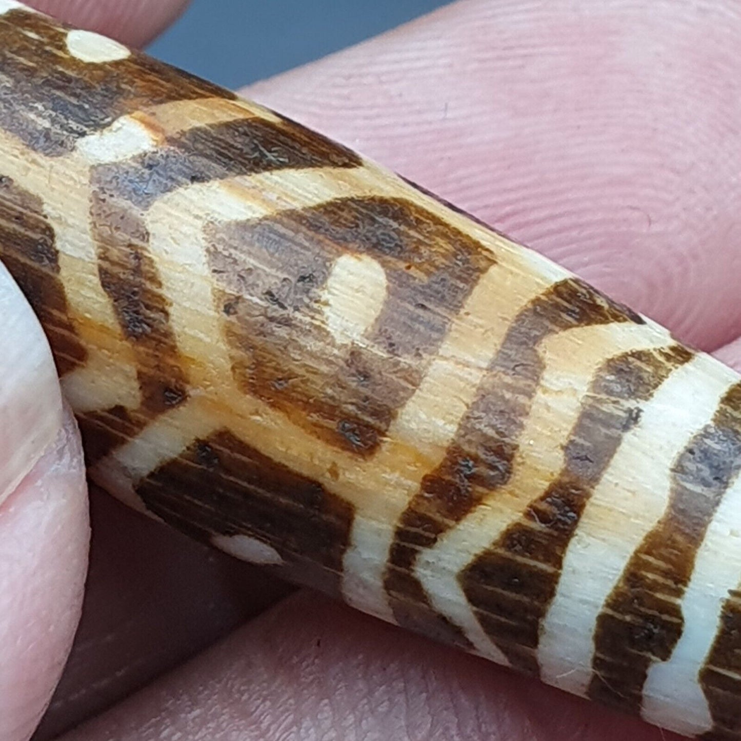 Vintage asiatische burmesische alte Pumtek Pyu versteinerte Holzsteinperle 