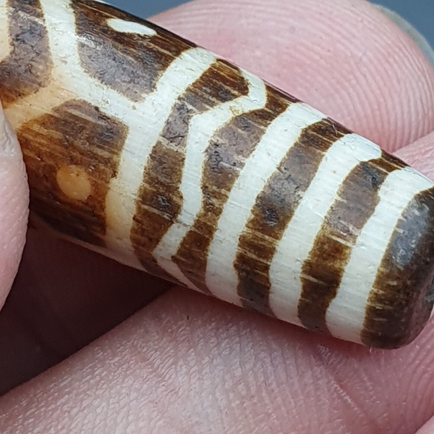 Vintage asiatische burmesische alte Pumtek Pyu versteinerte Holzsteinperle 