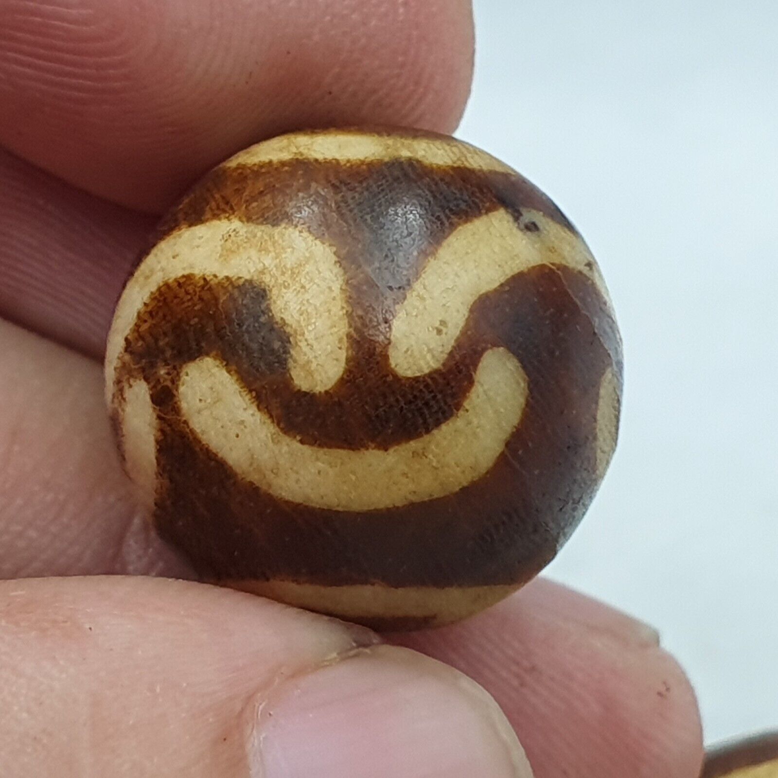Lot 10 Beads Rare Patterns South Asian Burmese Old Pumtek petrified Wood Beads
