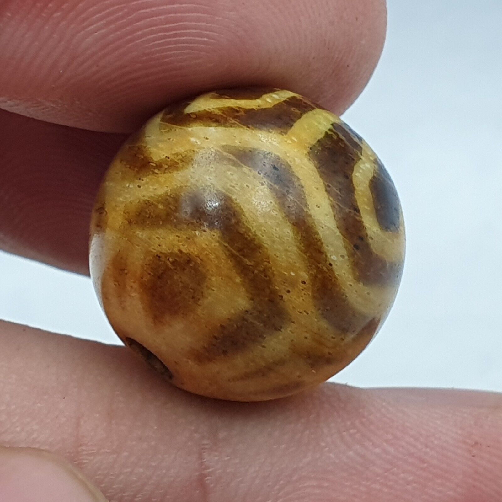 Lot 10 Beads Rare Patterns South Asian Burmese Old Pumtek petrified Wood Beads