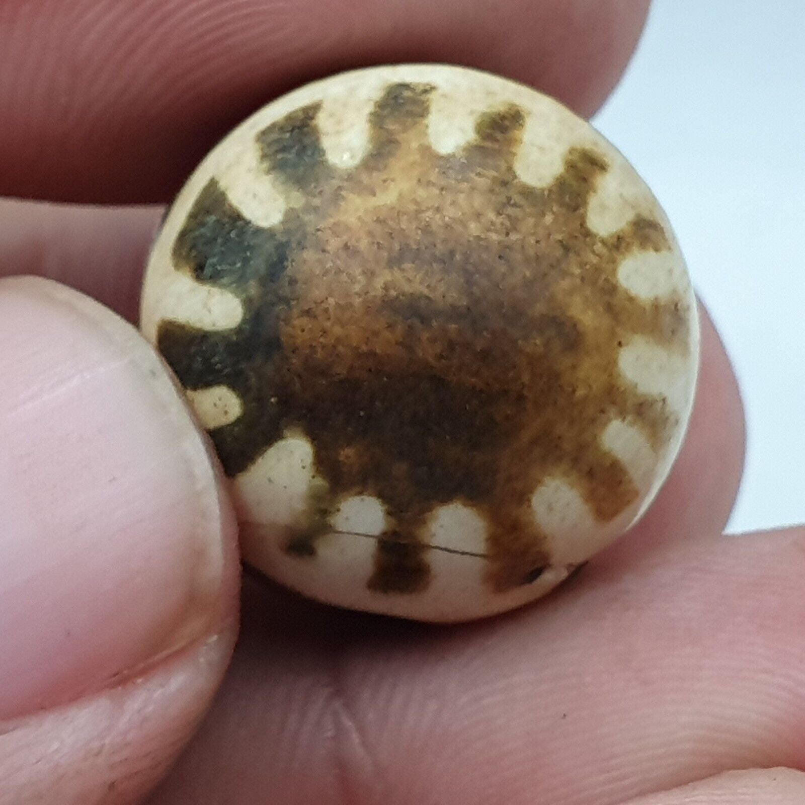 Lot 10 Beads Rare Patterns South Asian Burmese Old Pumtek petrified Wood Beads