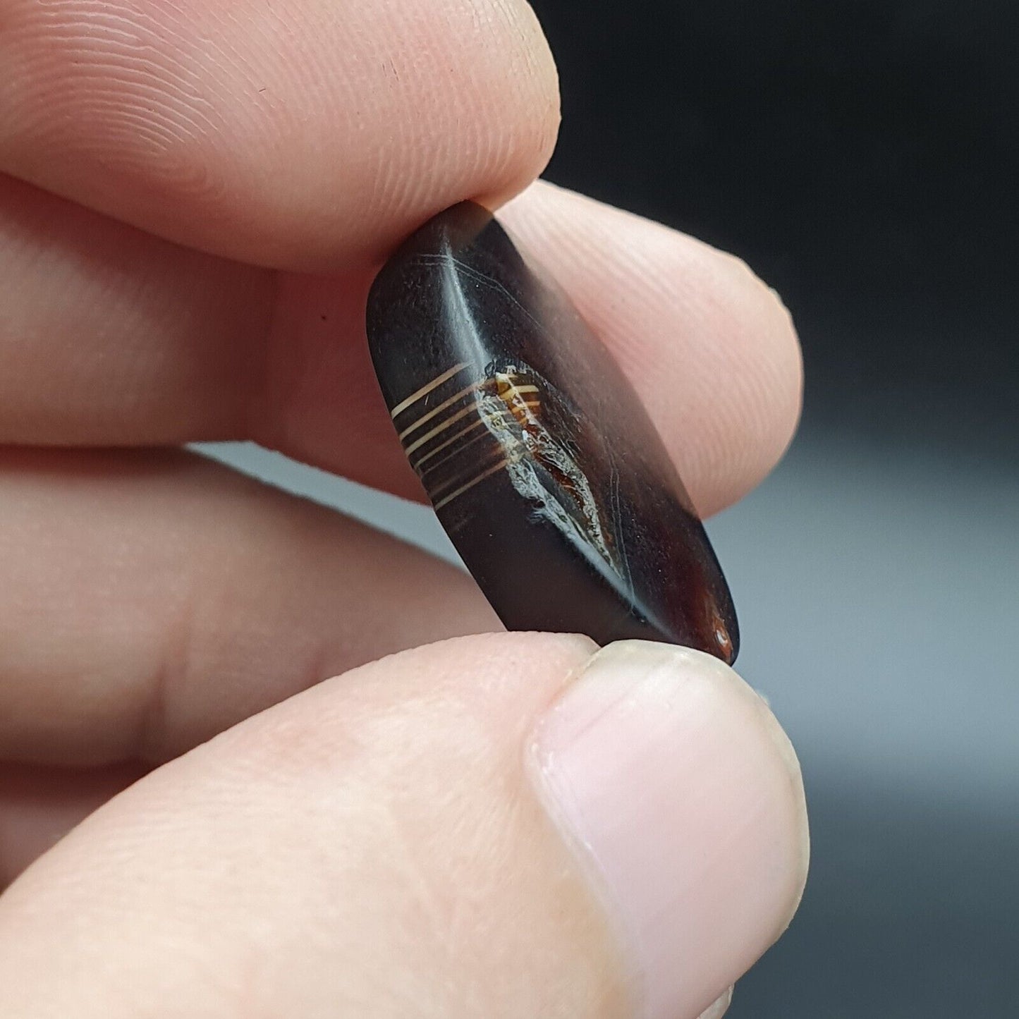 Antikes nahöstliches Stempelsiegel, geheimnisvolles Tier, Tiefdruck-Achat-Cabochon