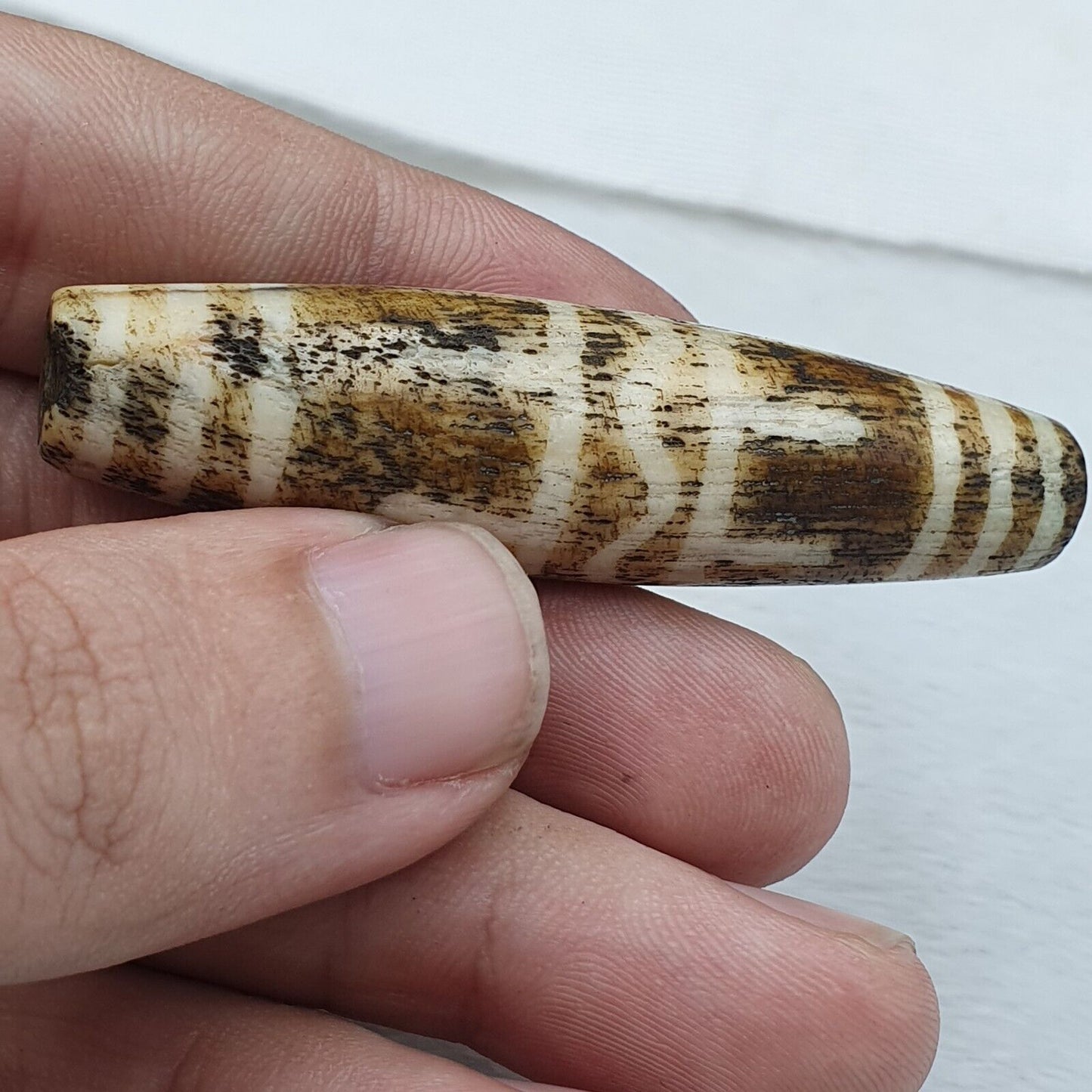 南亞緬甸 Pumtek 珠 20 世紀晚期珠子批次