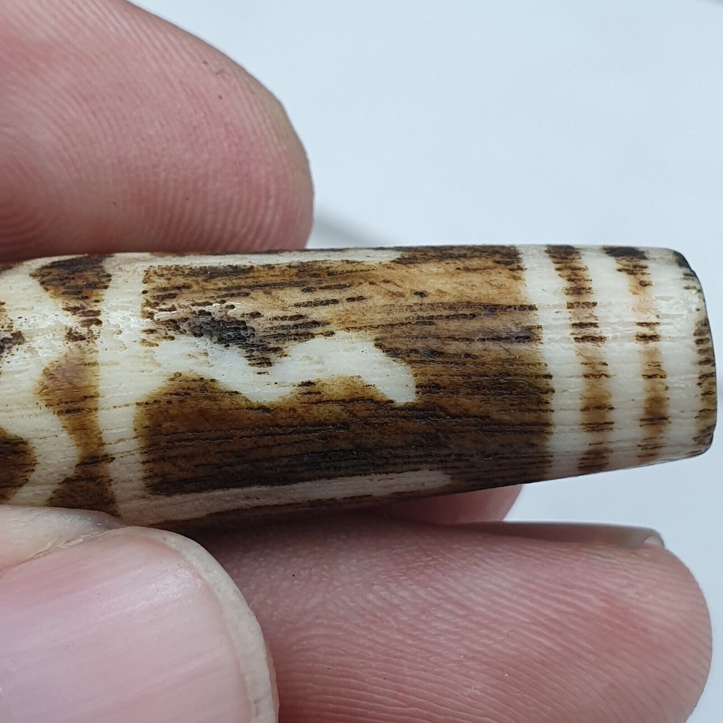 南亞緬甸 Pumtek 珠 20 世紀晚期珠子批次
